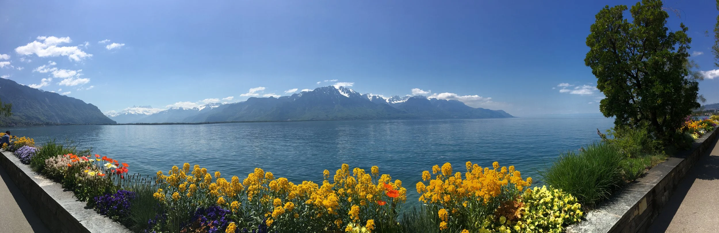 2019-04-30 13.24.08.jpg