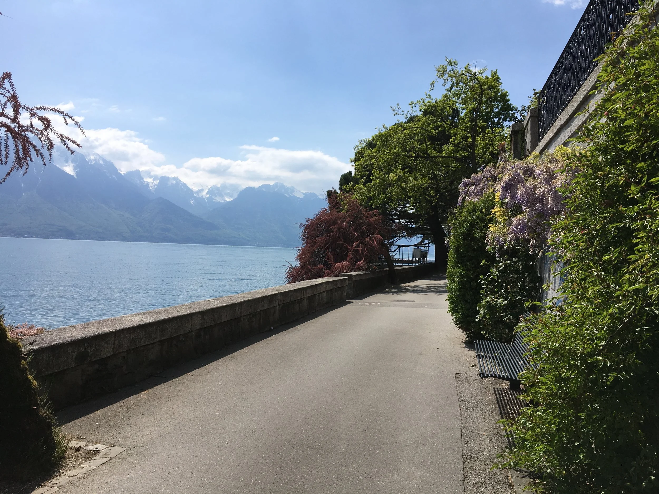 2019-04-30 14.42.33.jpg