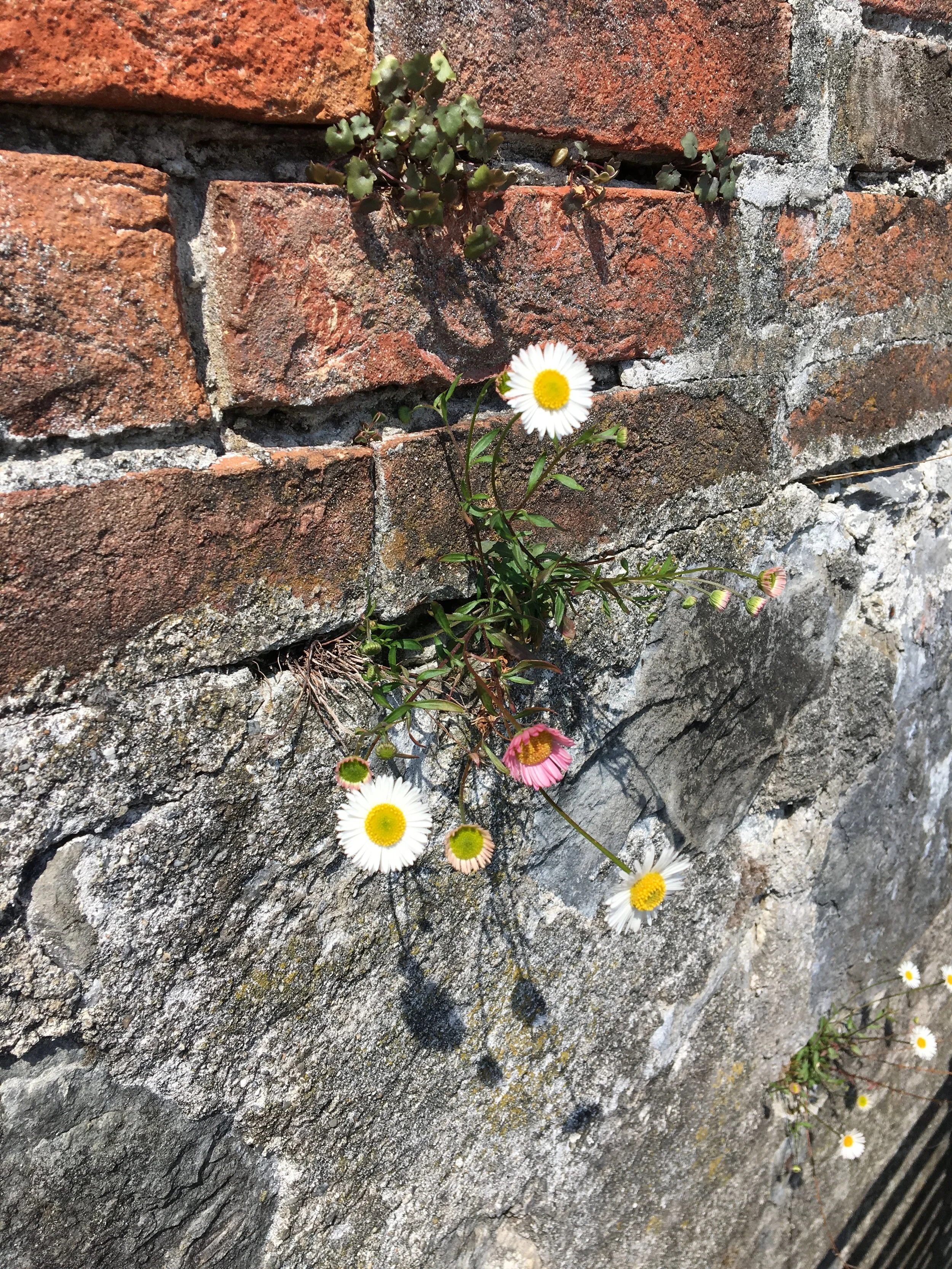 2019-04-30 14.42.08.jpg