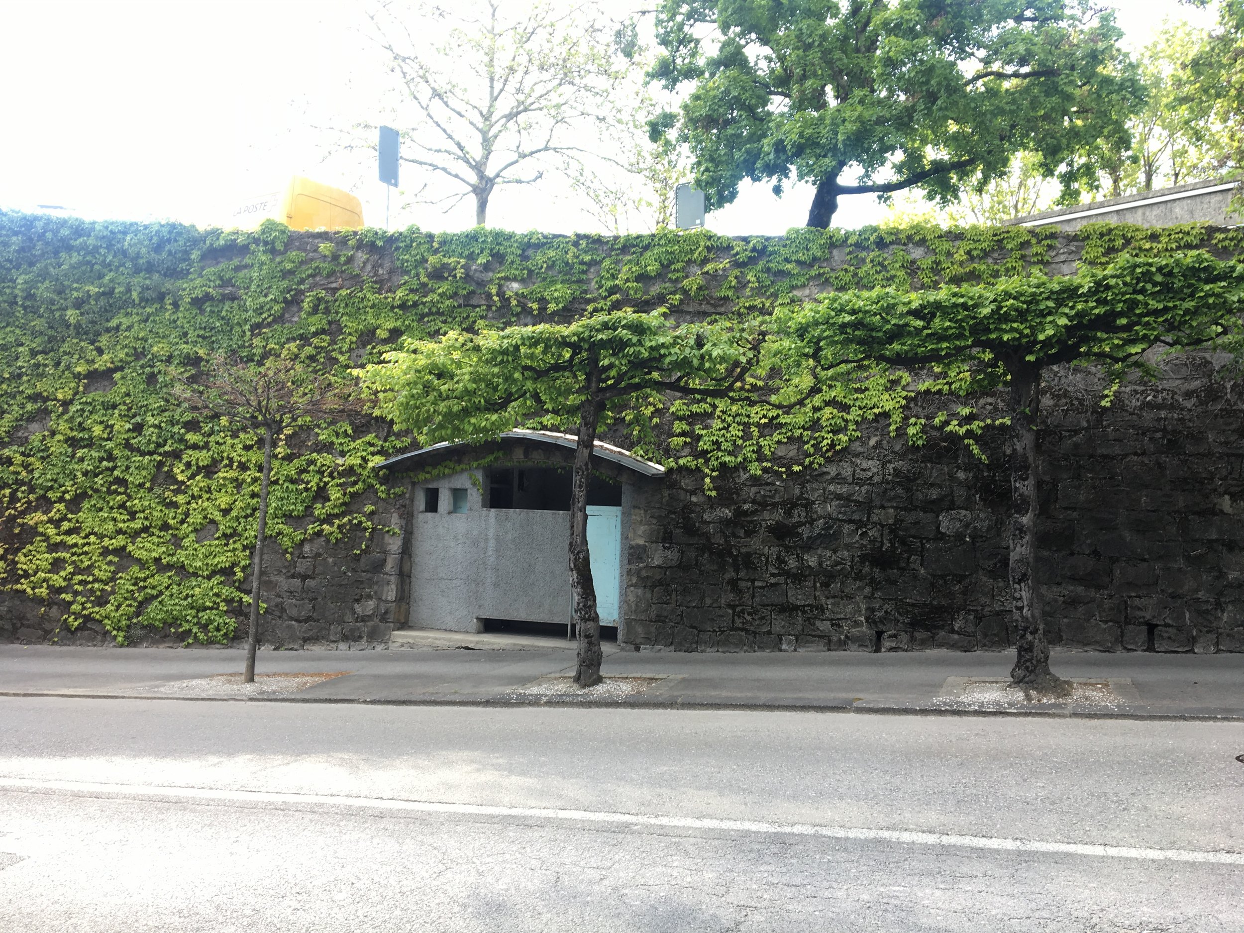 2019-04-30 17.13.02.jpg