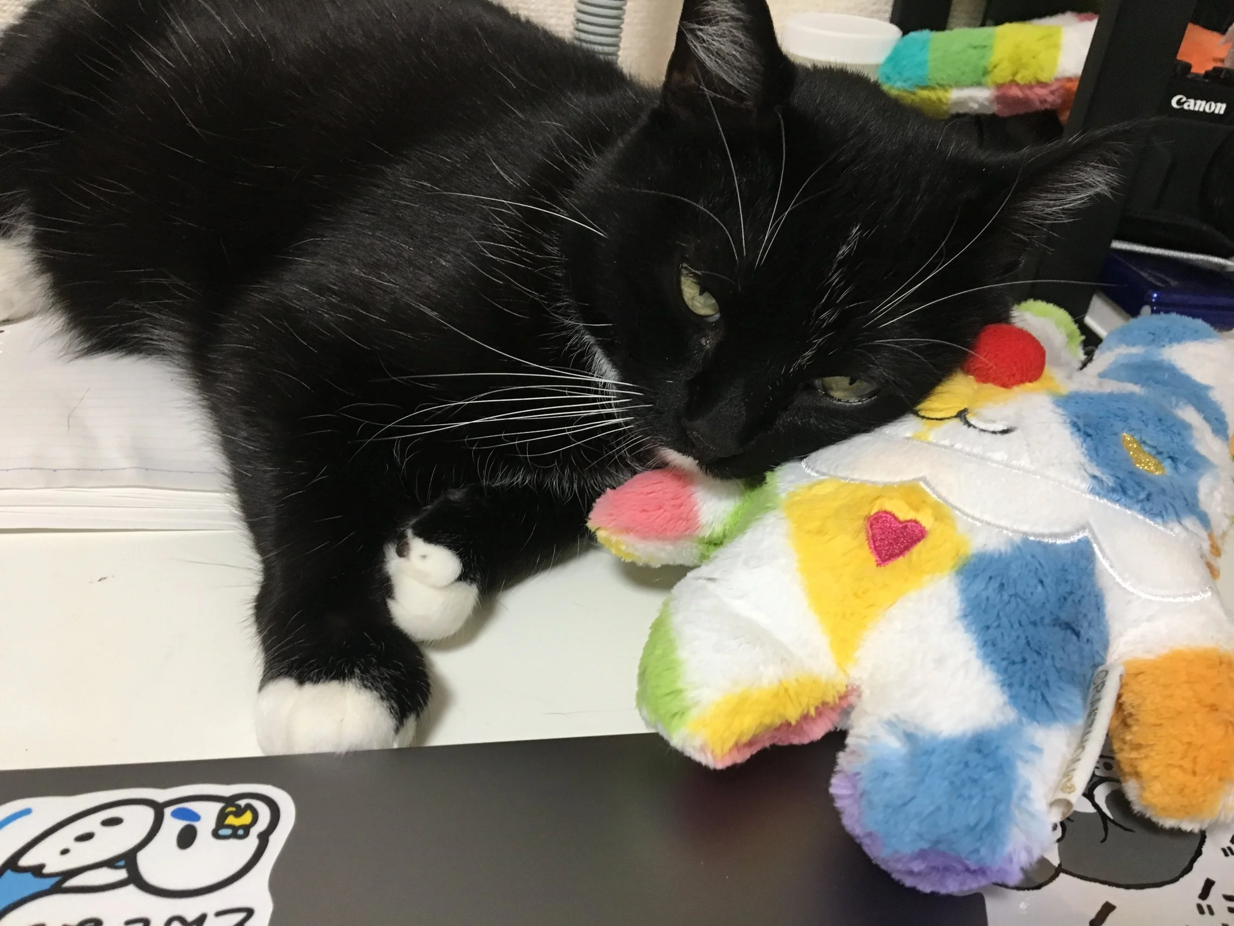 Post 29: Heading home to Japan