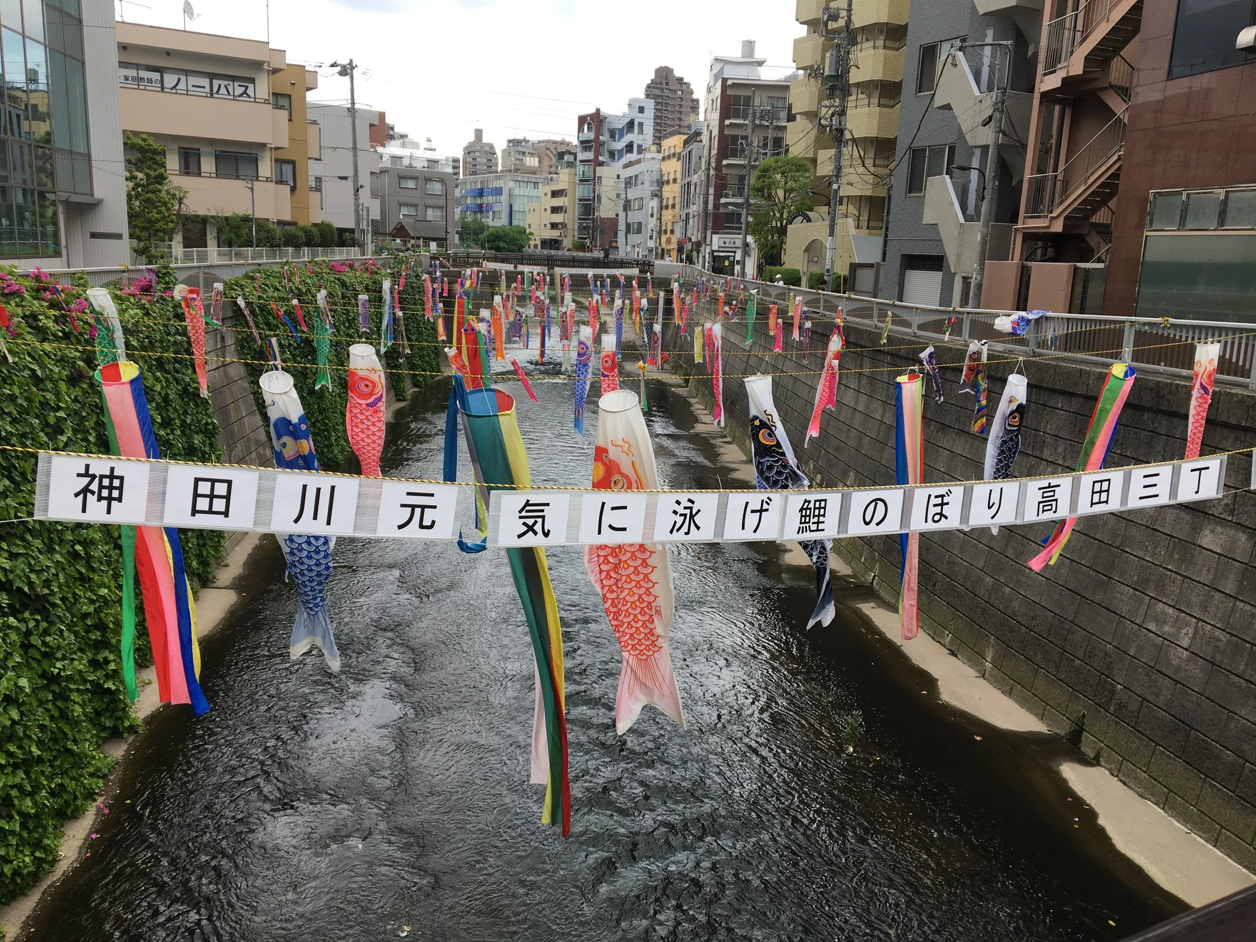 Post 30: After the Jet Lag