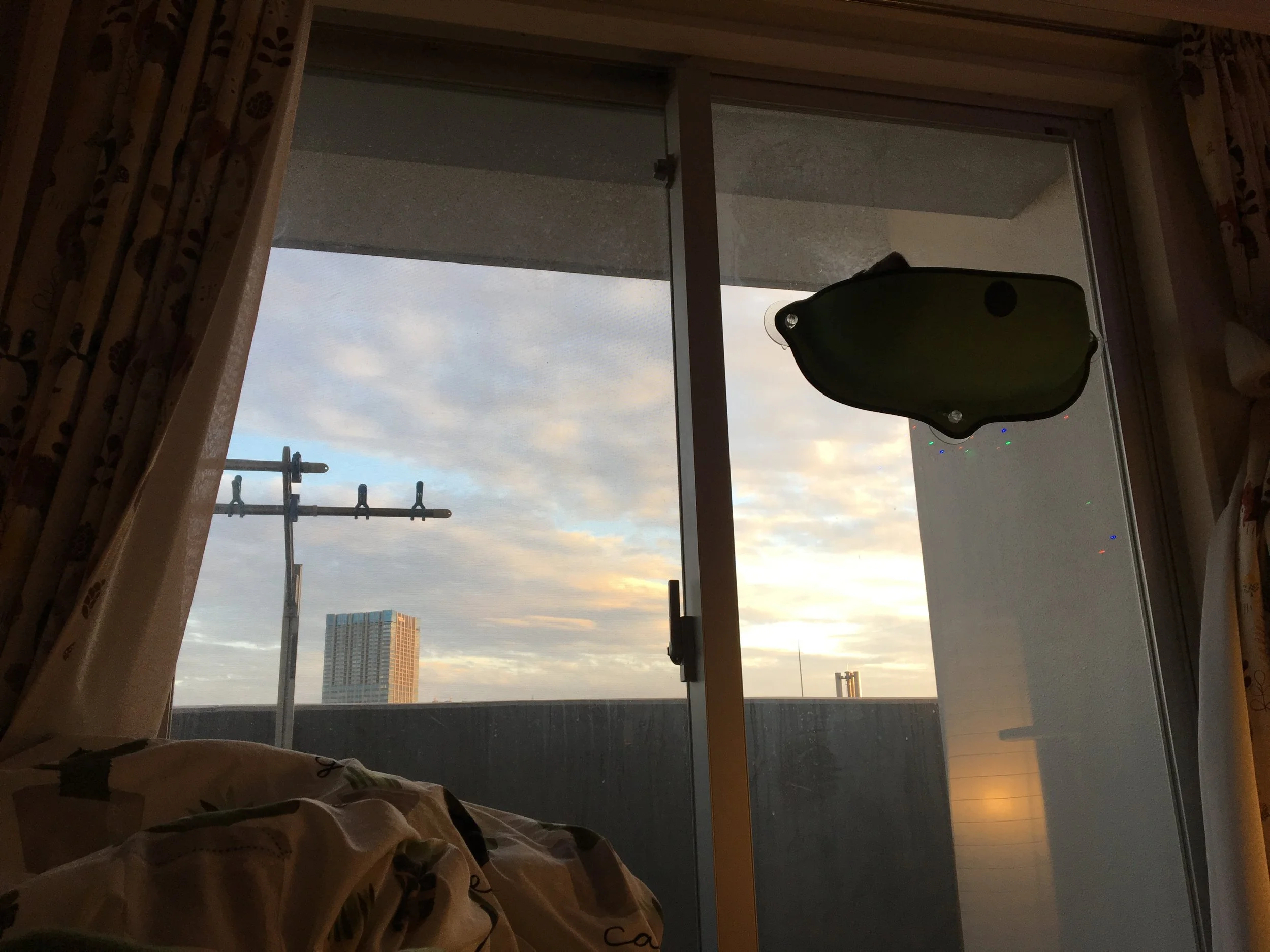 Post 31: Back to "Normal"