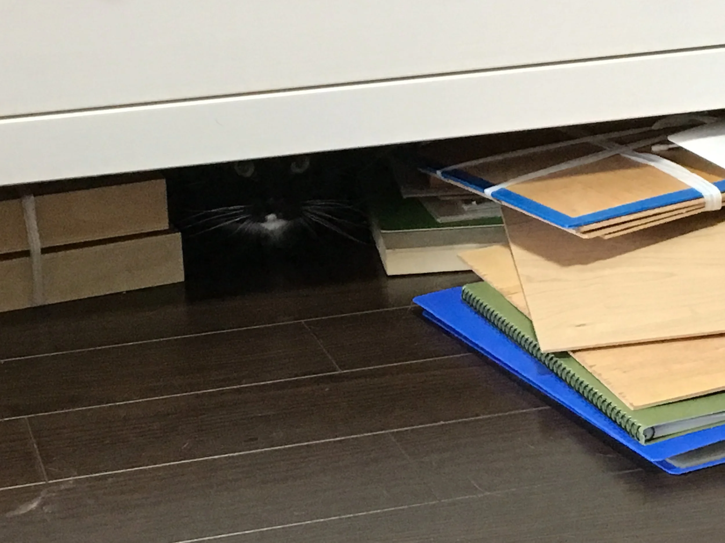 Post 32: Just cleaning 