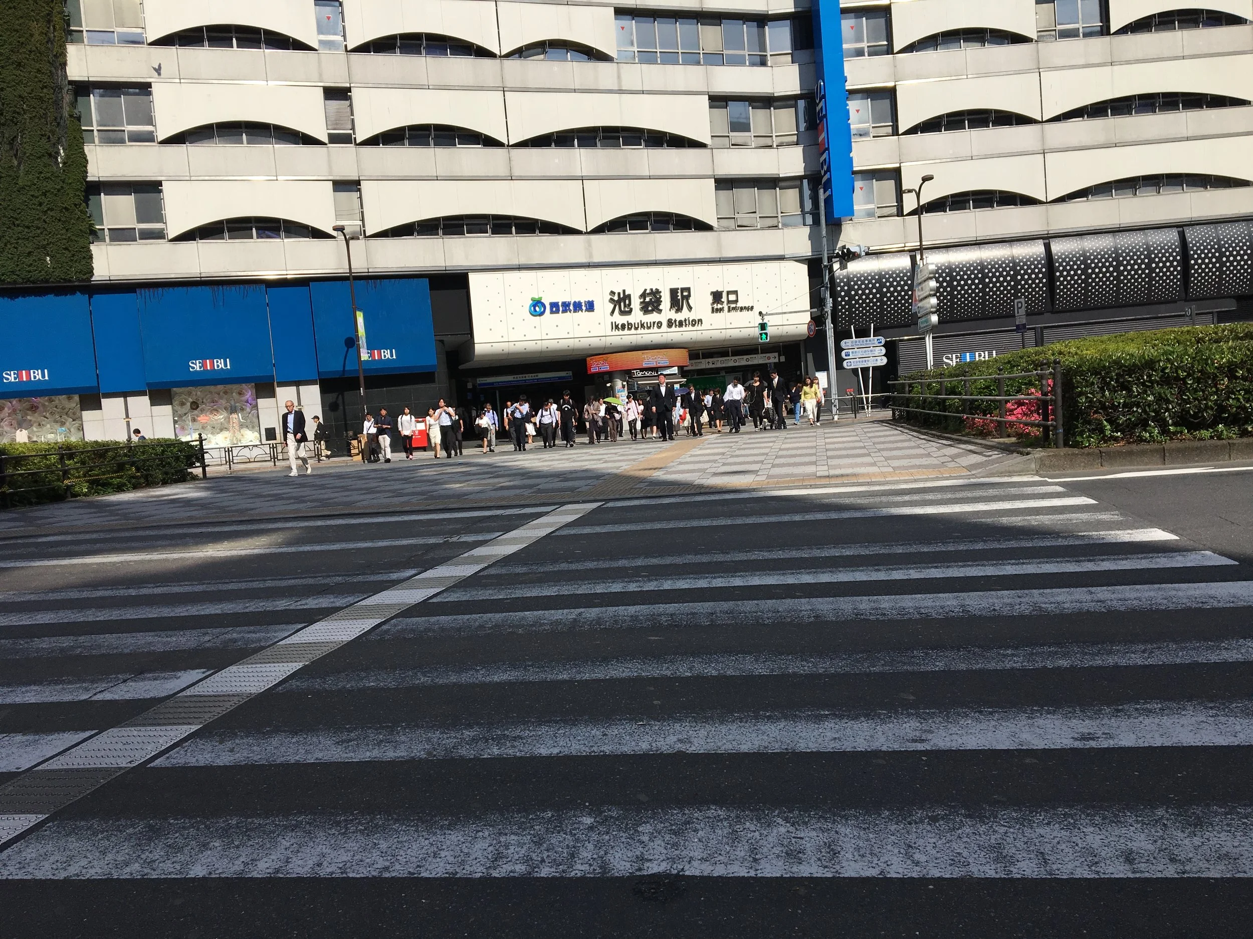 2019-05-27 08.02.49.jpg