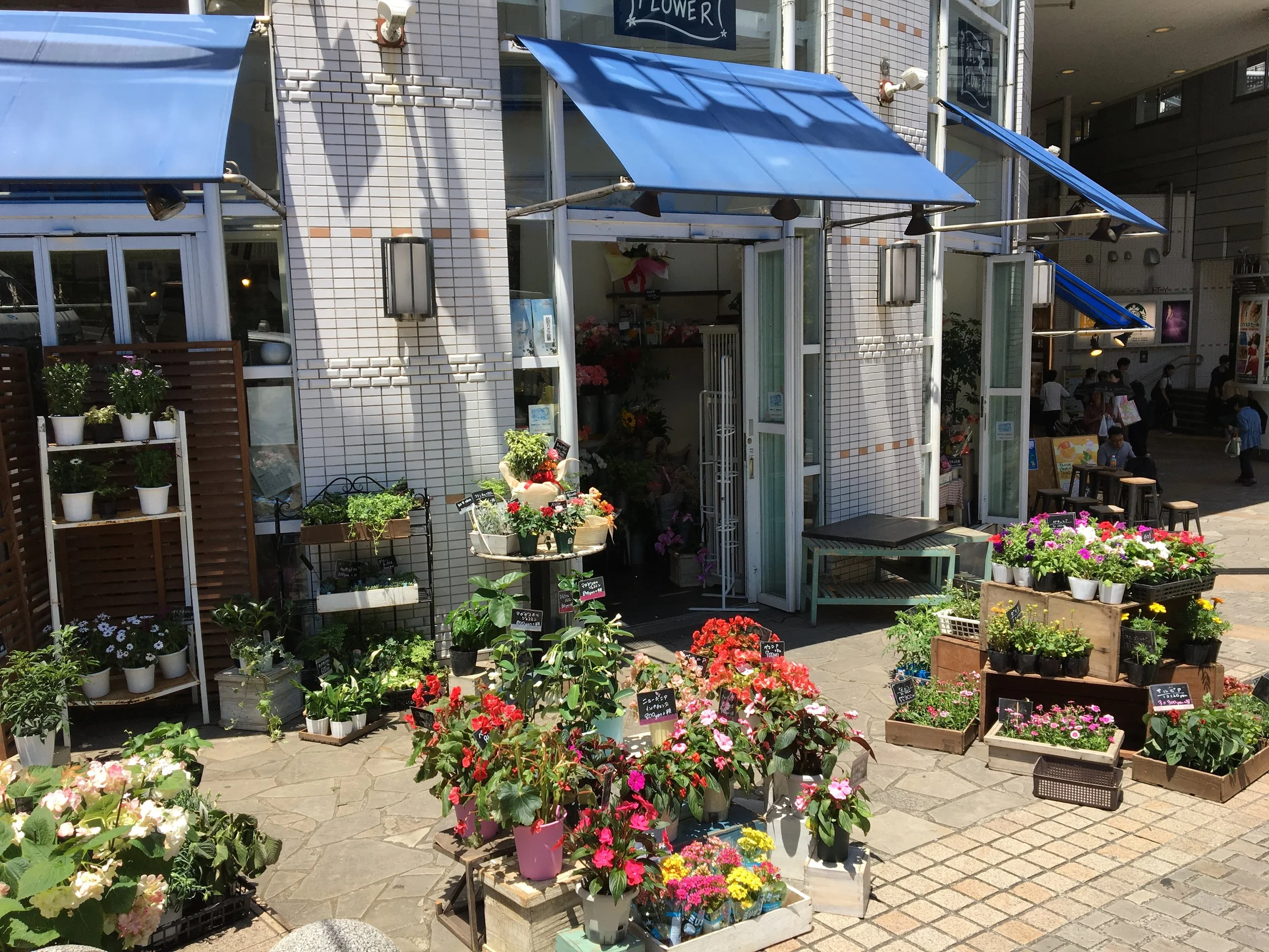 2019-05-30 11.14.06.jpg