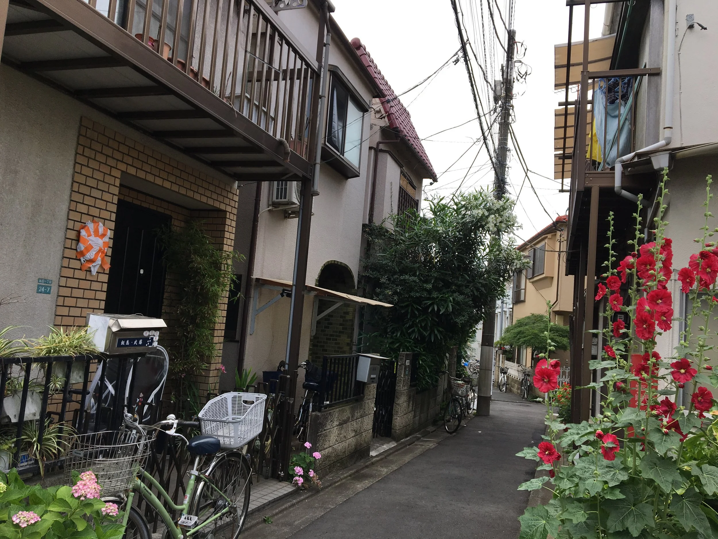 2019-06-03 08.58.02.jpg