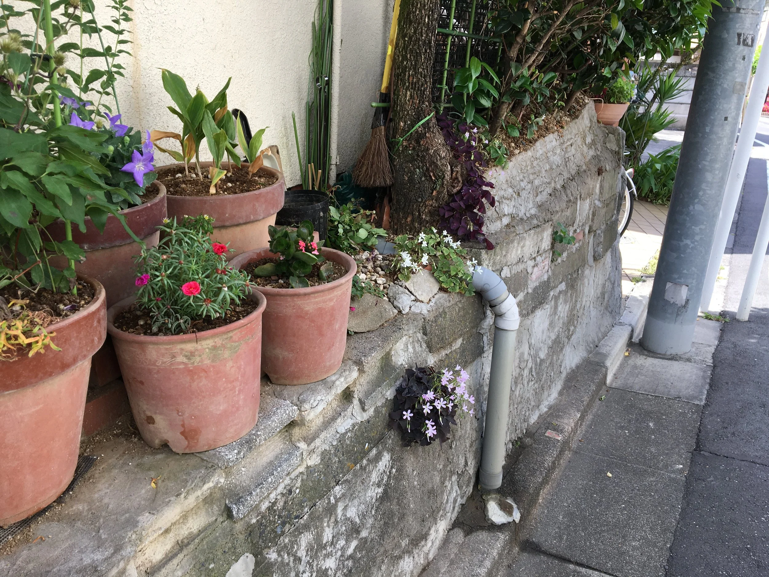 2019-06-03 09.22.51.jpg