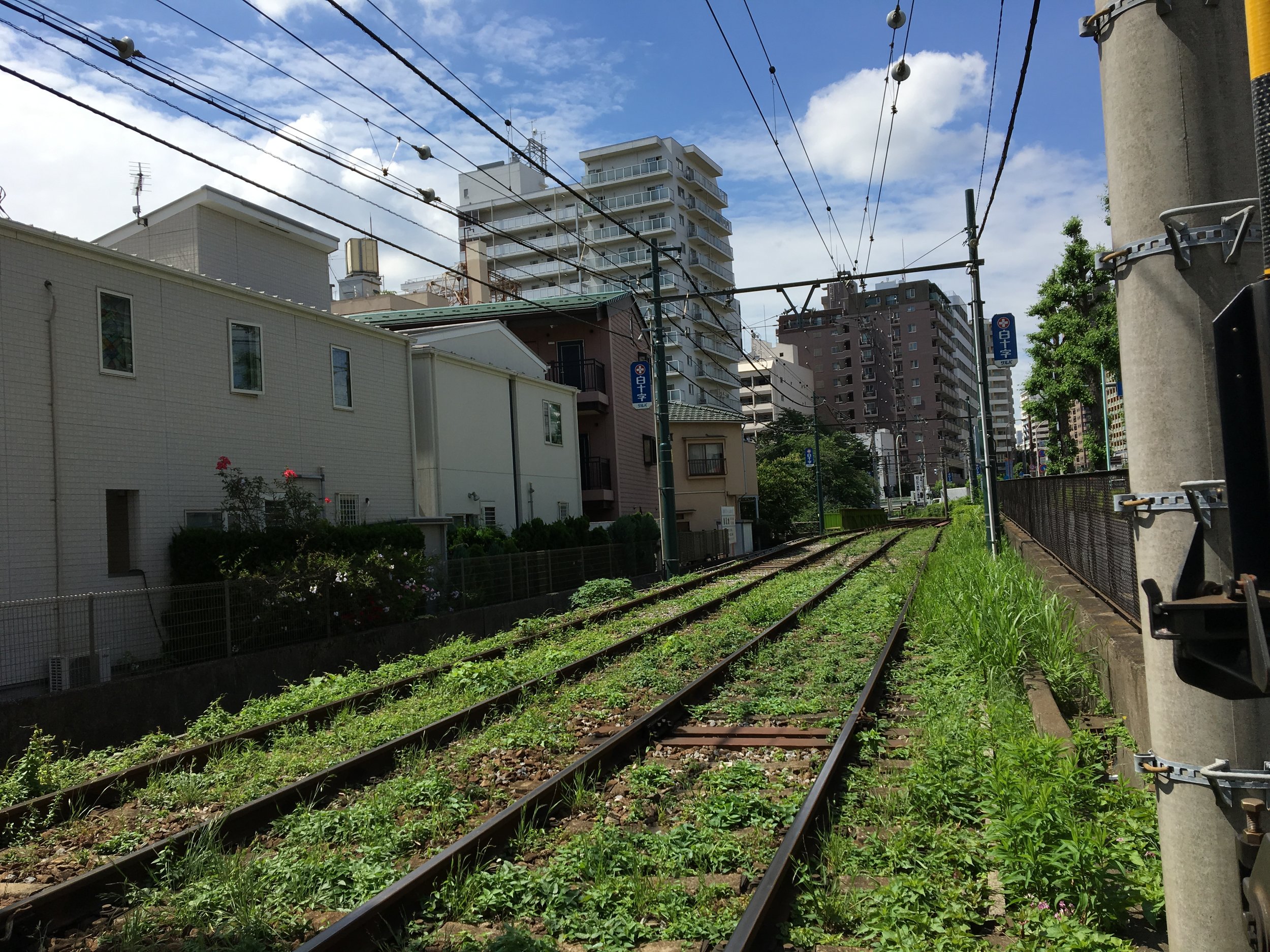 2019-06-03 09.29.40.jpg