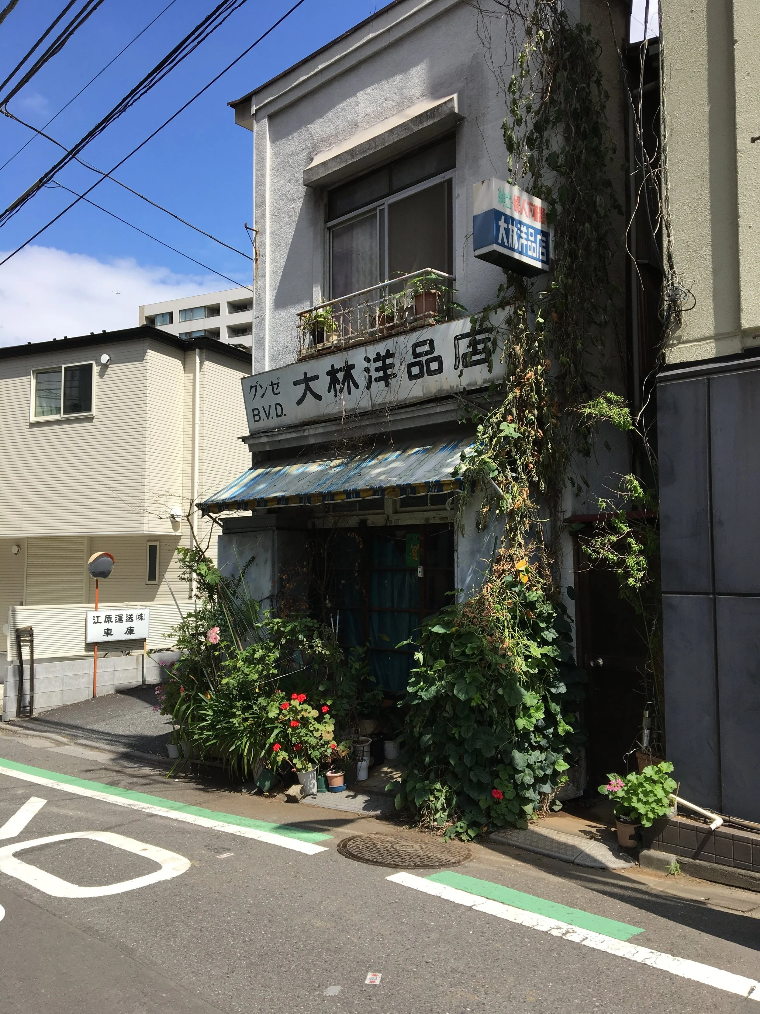 2019-06-03 09.30.50.jpg