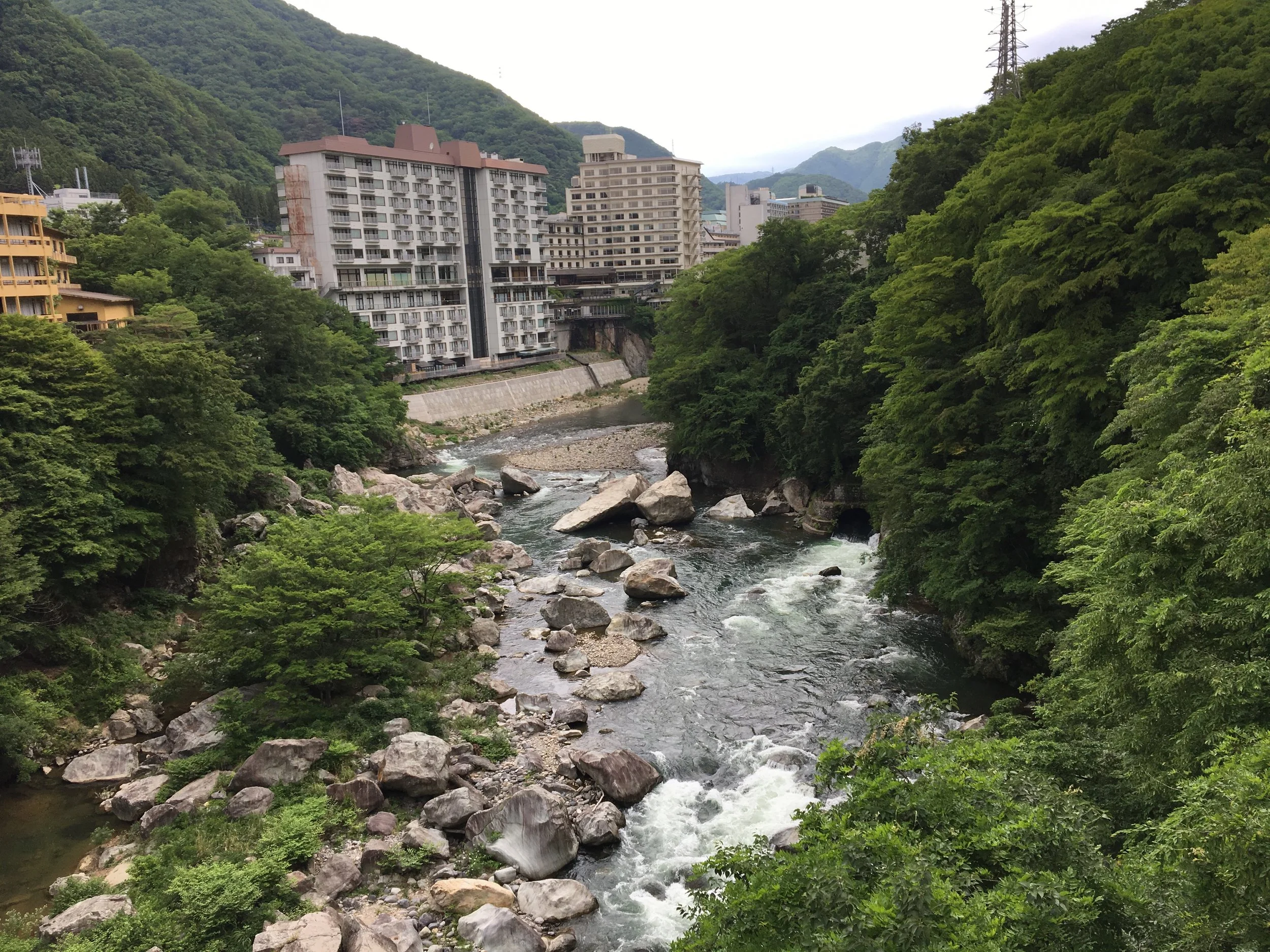 2019-06-03 14.16.55.jpg