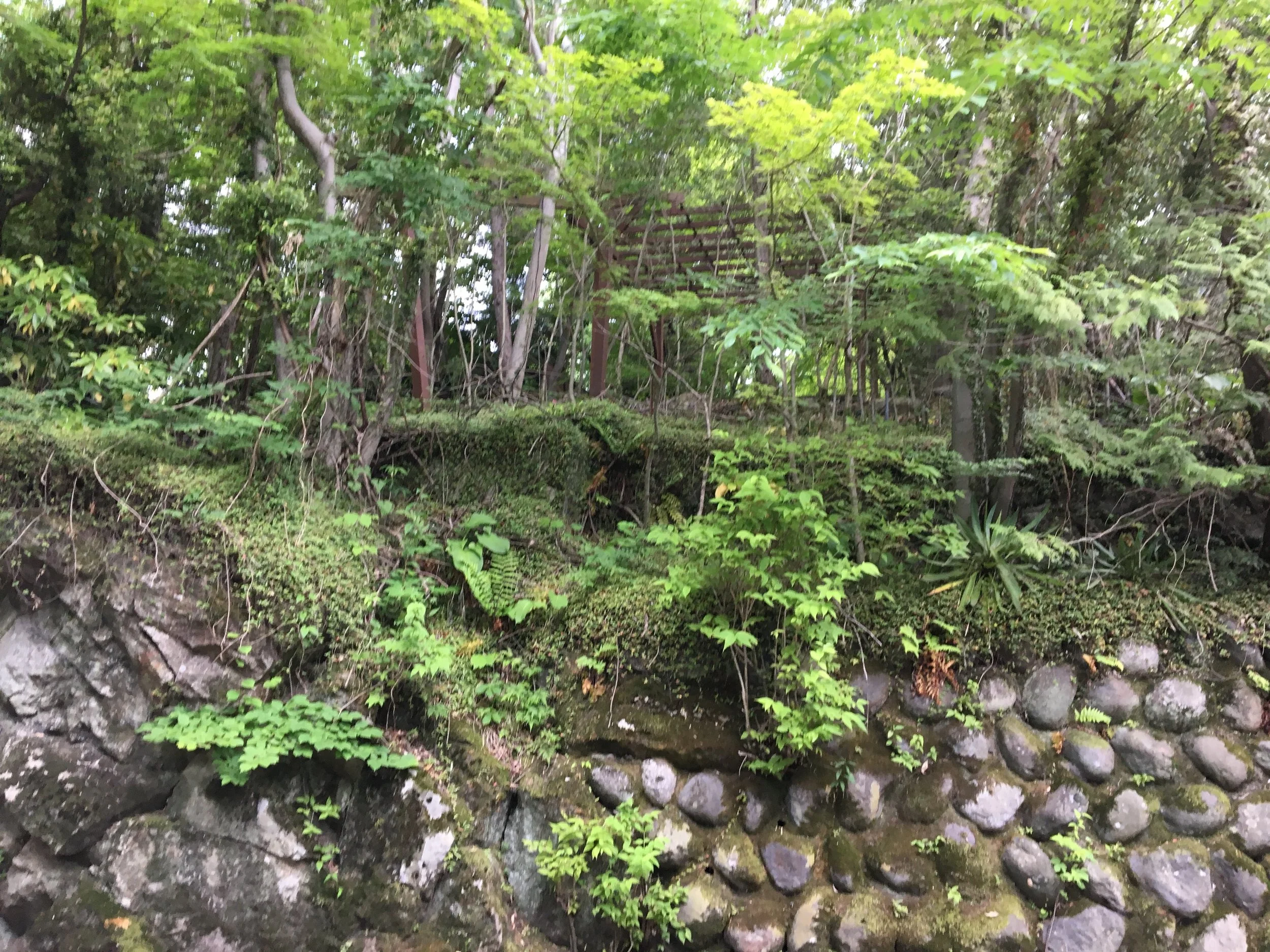 2019-06-03 14.23.18.jpg