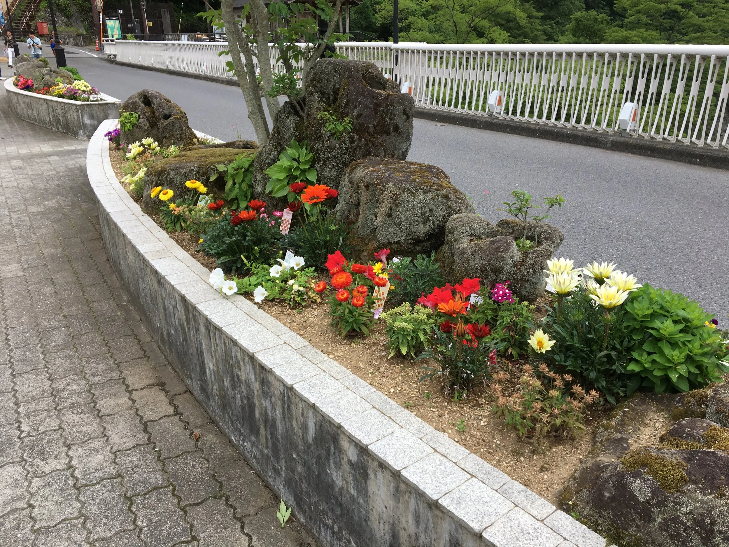 2019-06-03 15.11.22.jpg