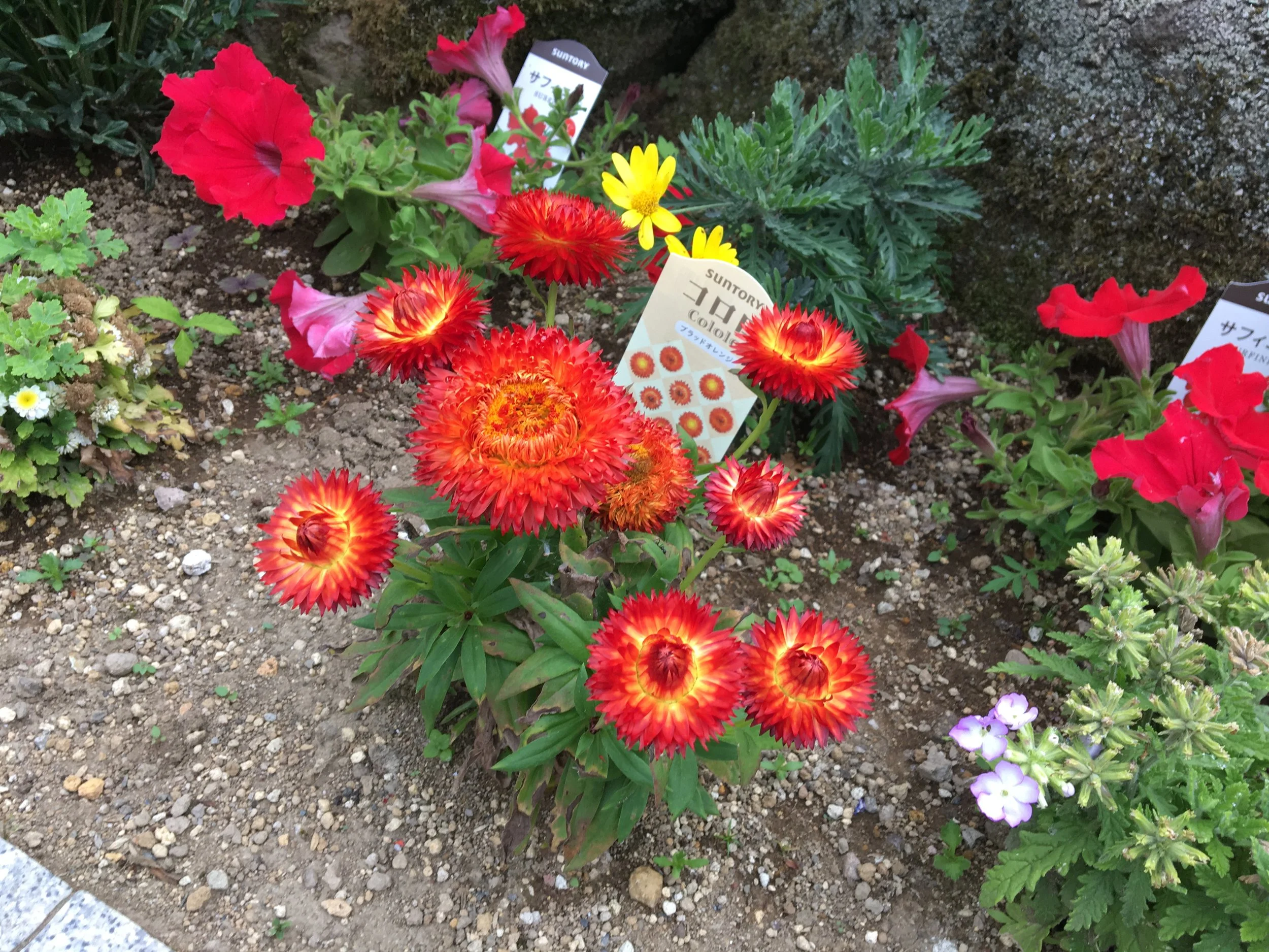 2019-06-03 15.11.26.jpg