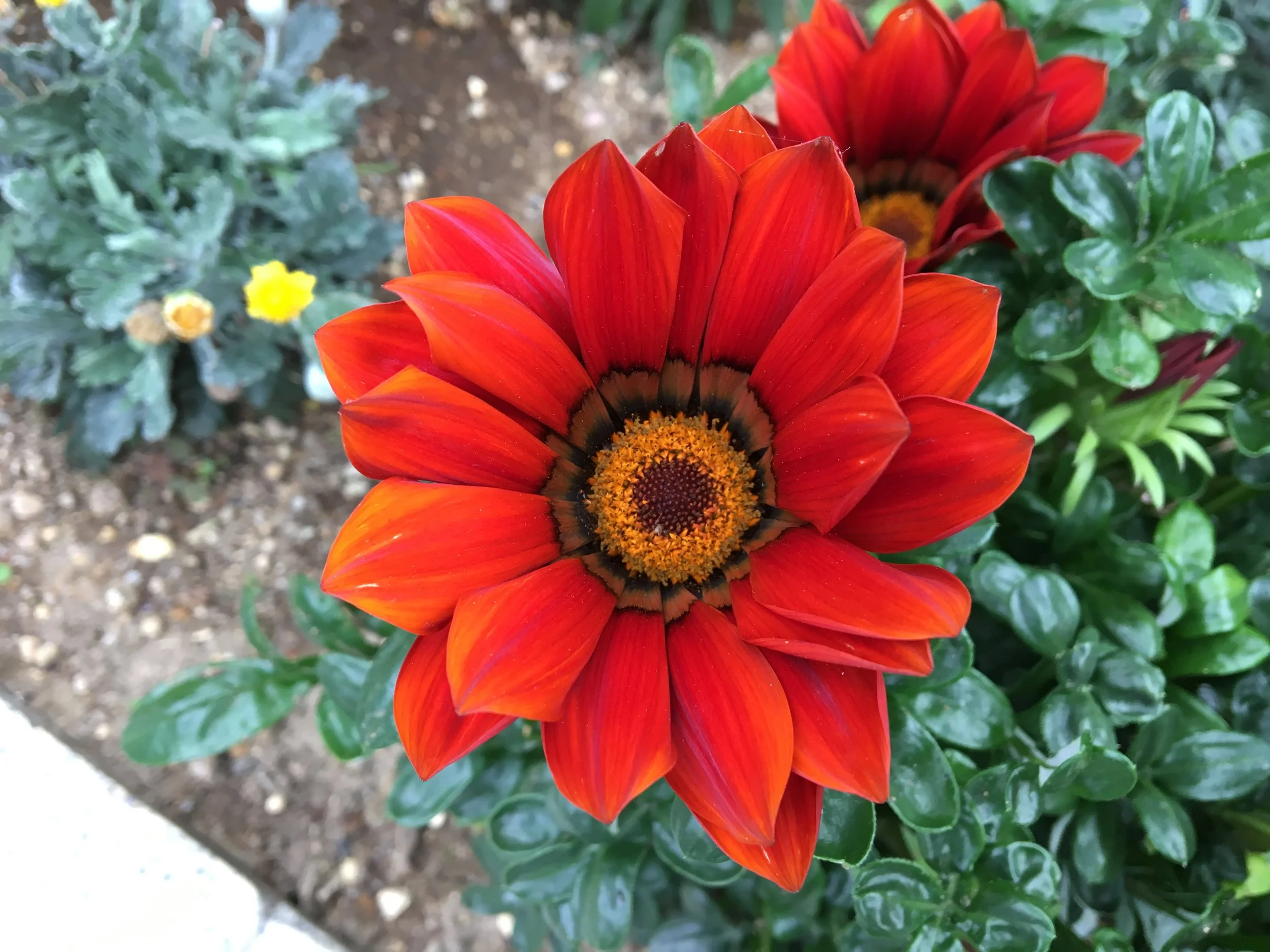 2019-06-03 15.11.48.jpg