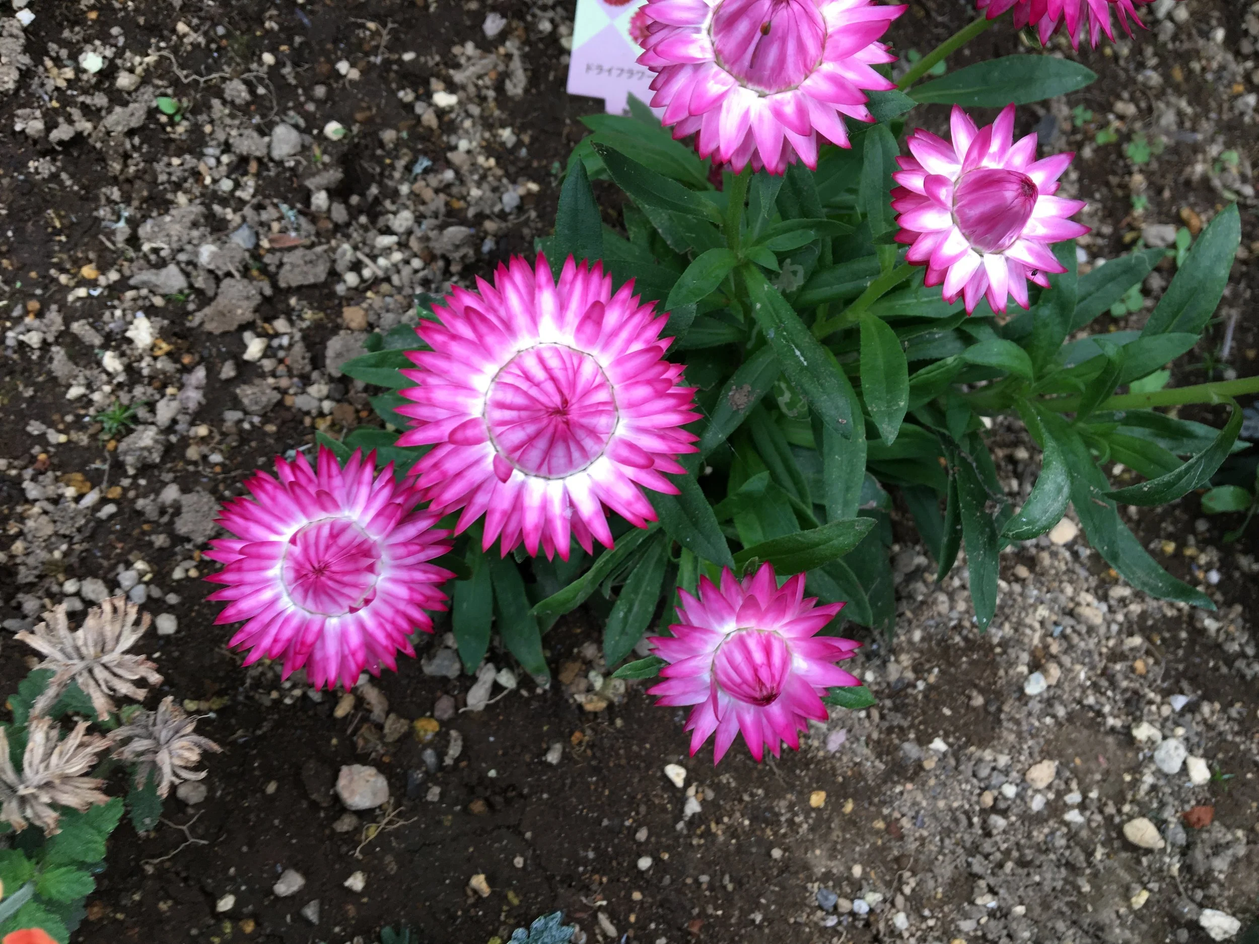 2019-06-03 15.11.51.jpg