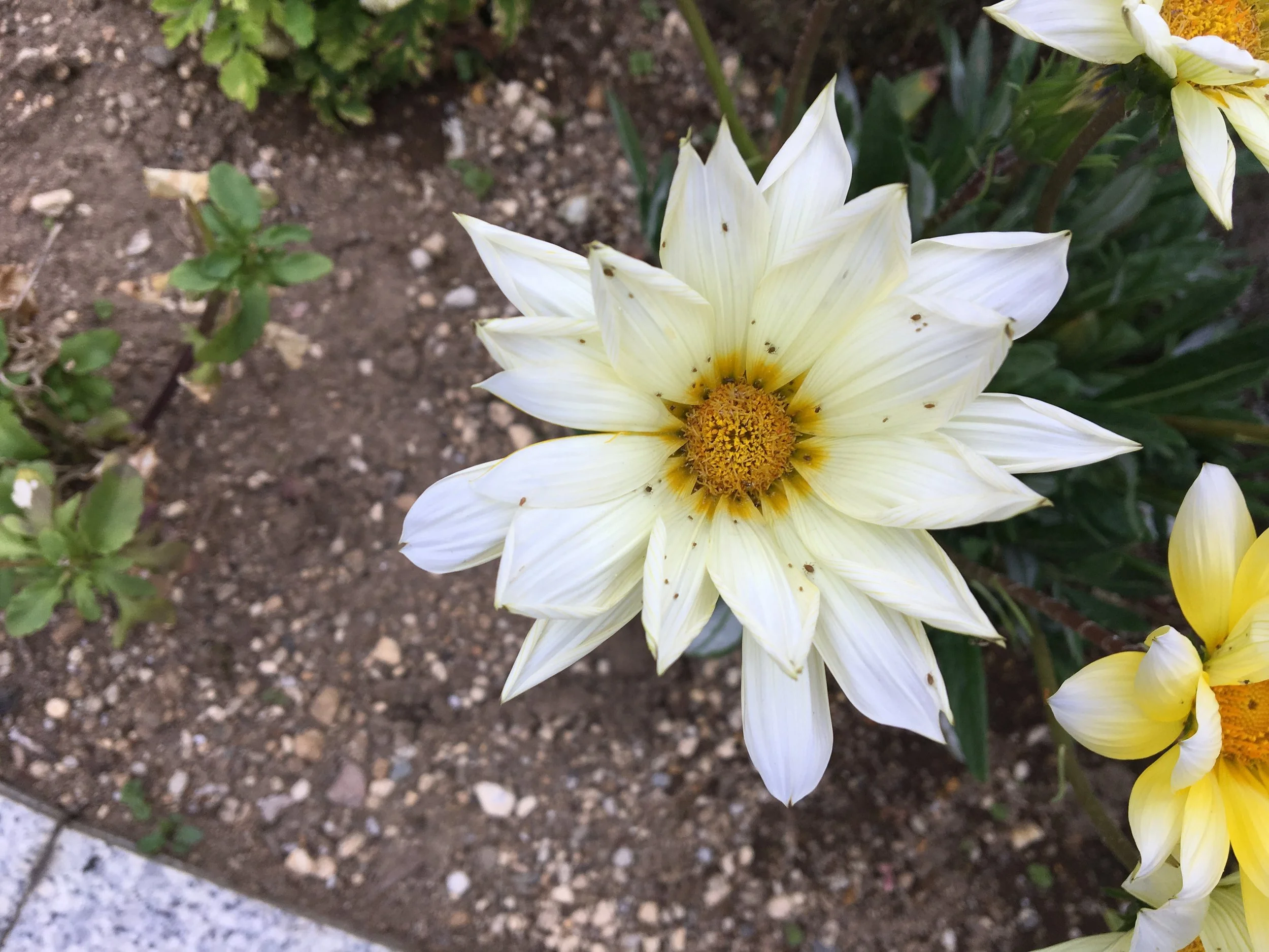 2019-06-03 15.12.02.jpg