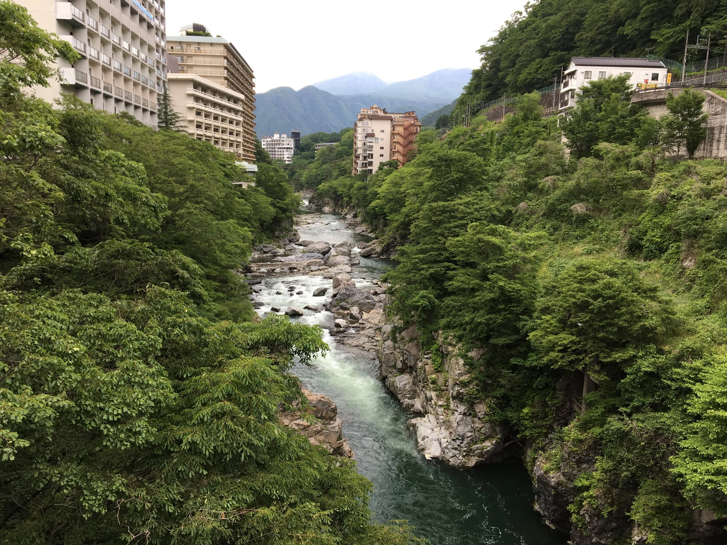 2019-06-03 15.12.10.jpg