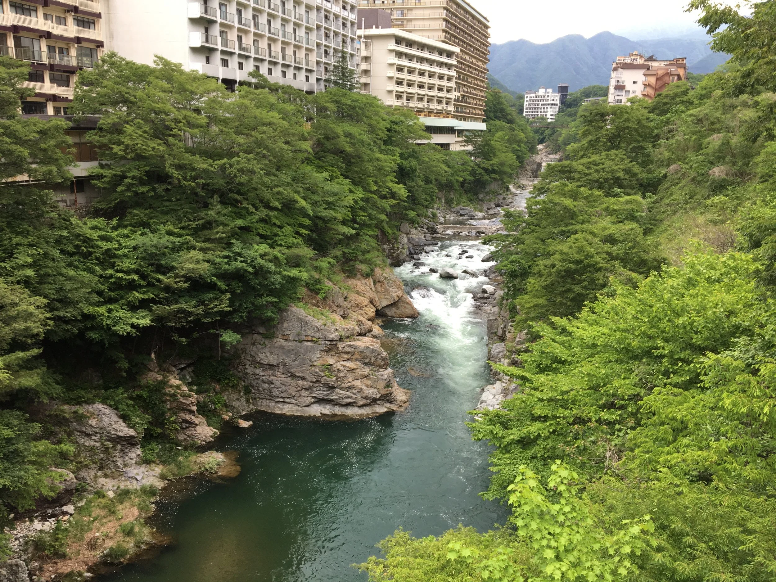 2019-06-03 15.13.12.jpg