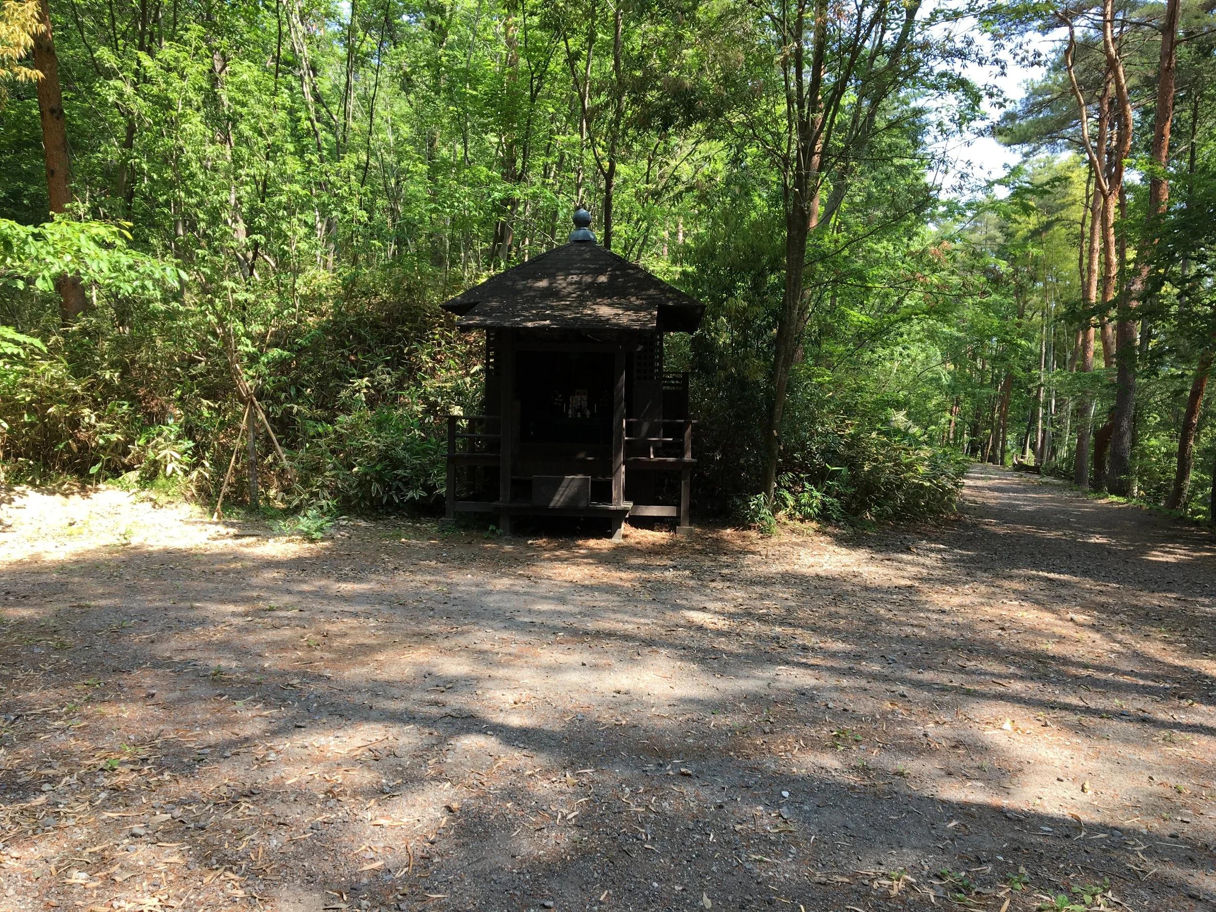 2019-06-04 09.16.28.jpg