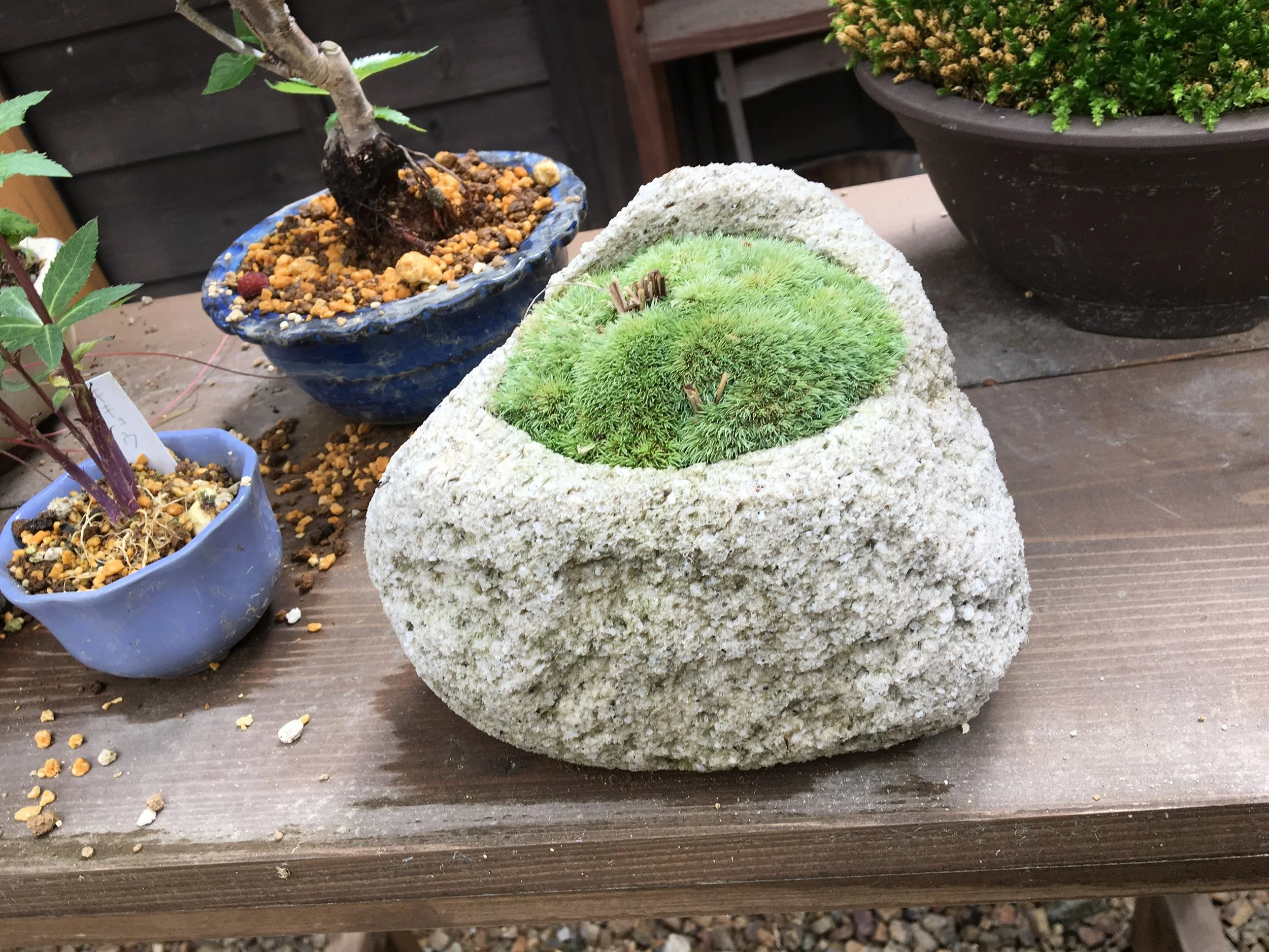 2019-06-04 13.24.36.jpg