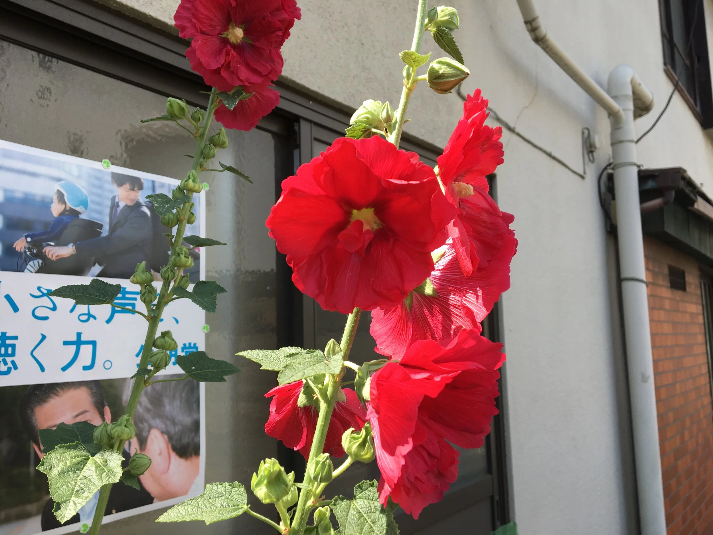 2019-06-06 09.26.38.jpg