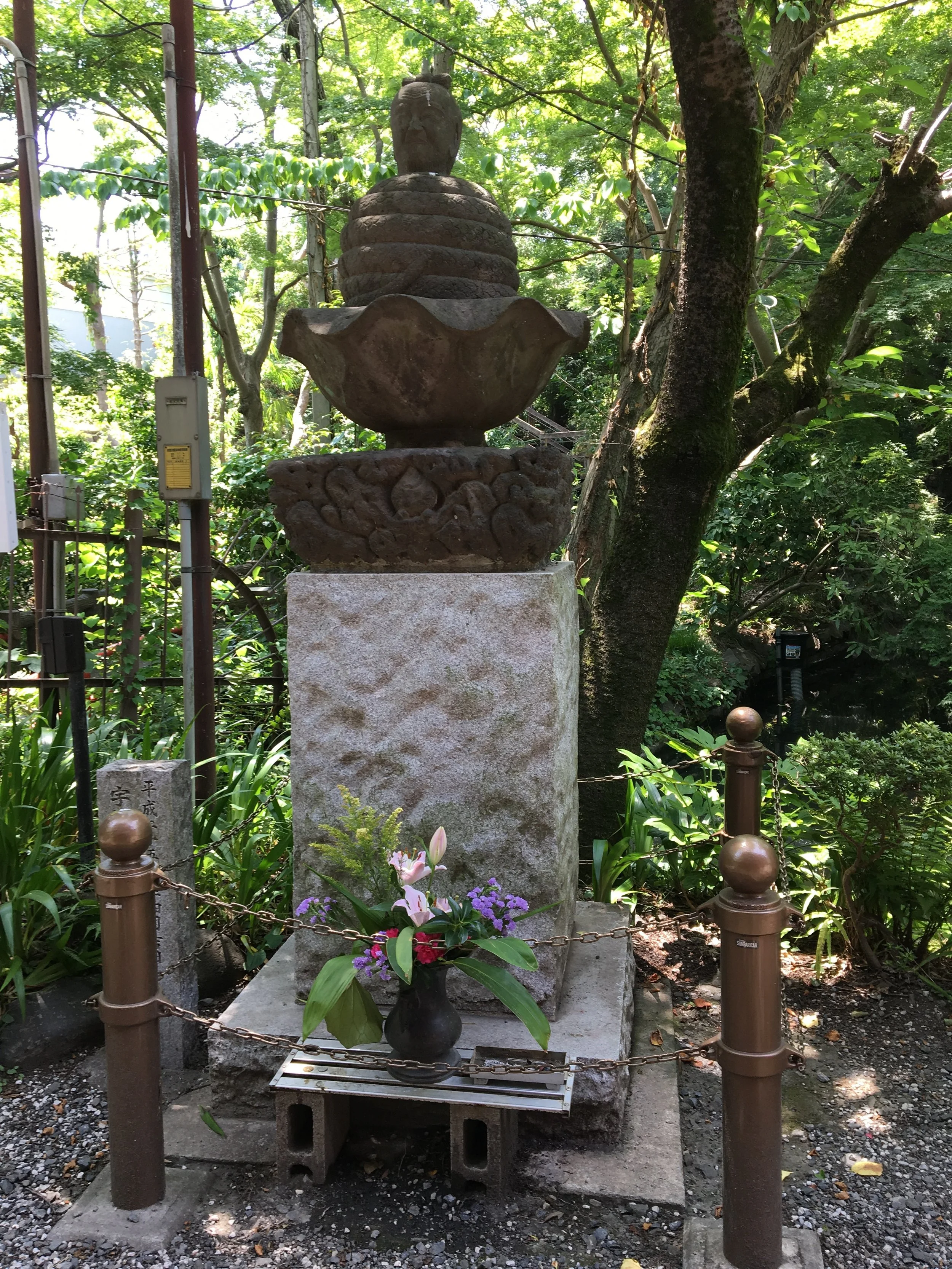 2019-06-06 12.13.53.jpg
