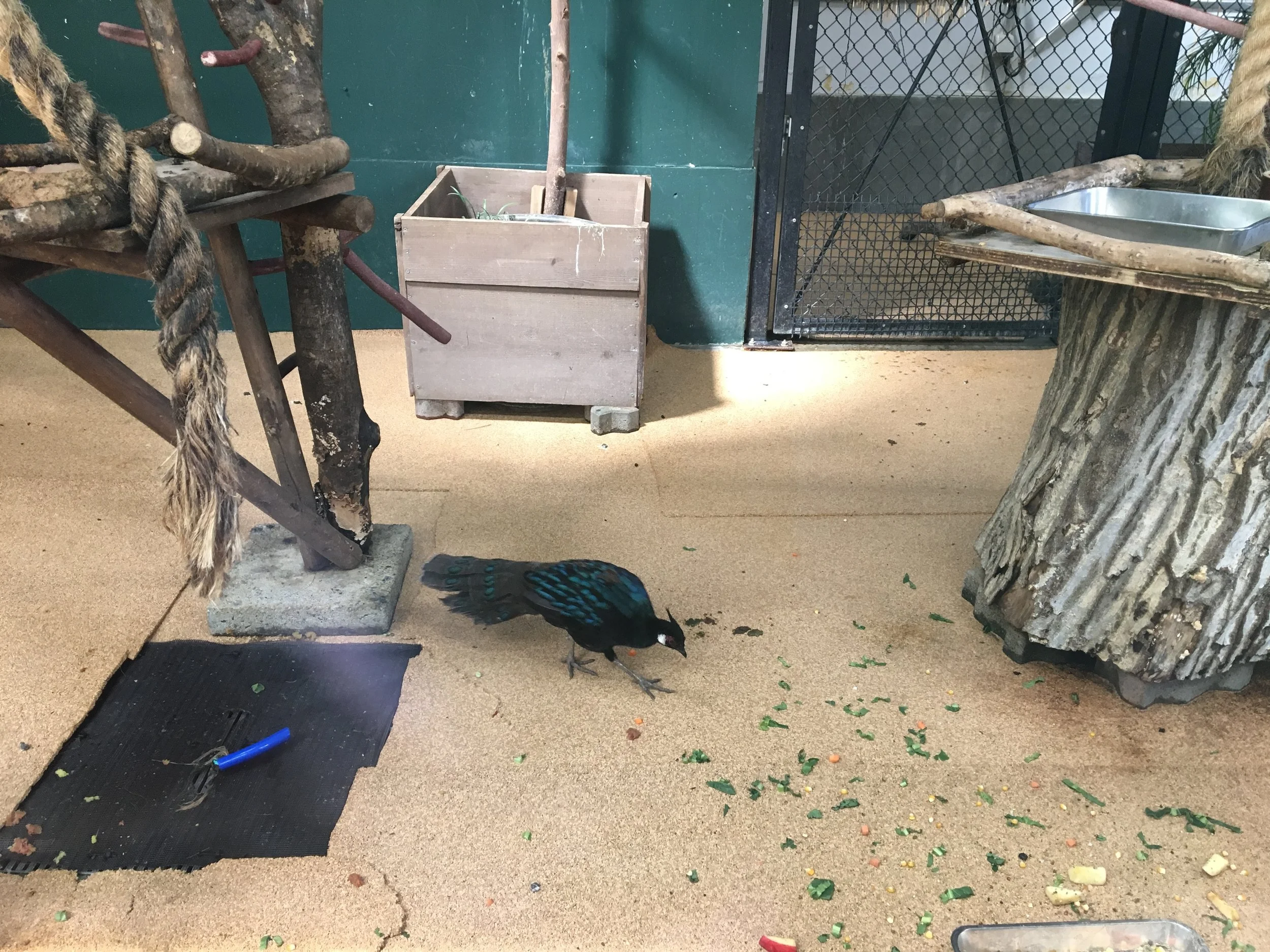 2019-06-06 13.52.13.jpg