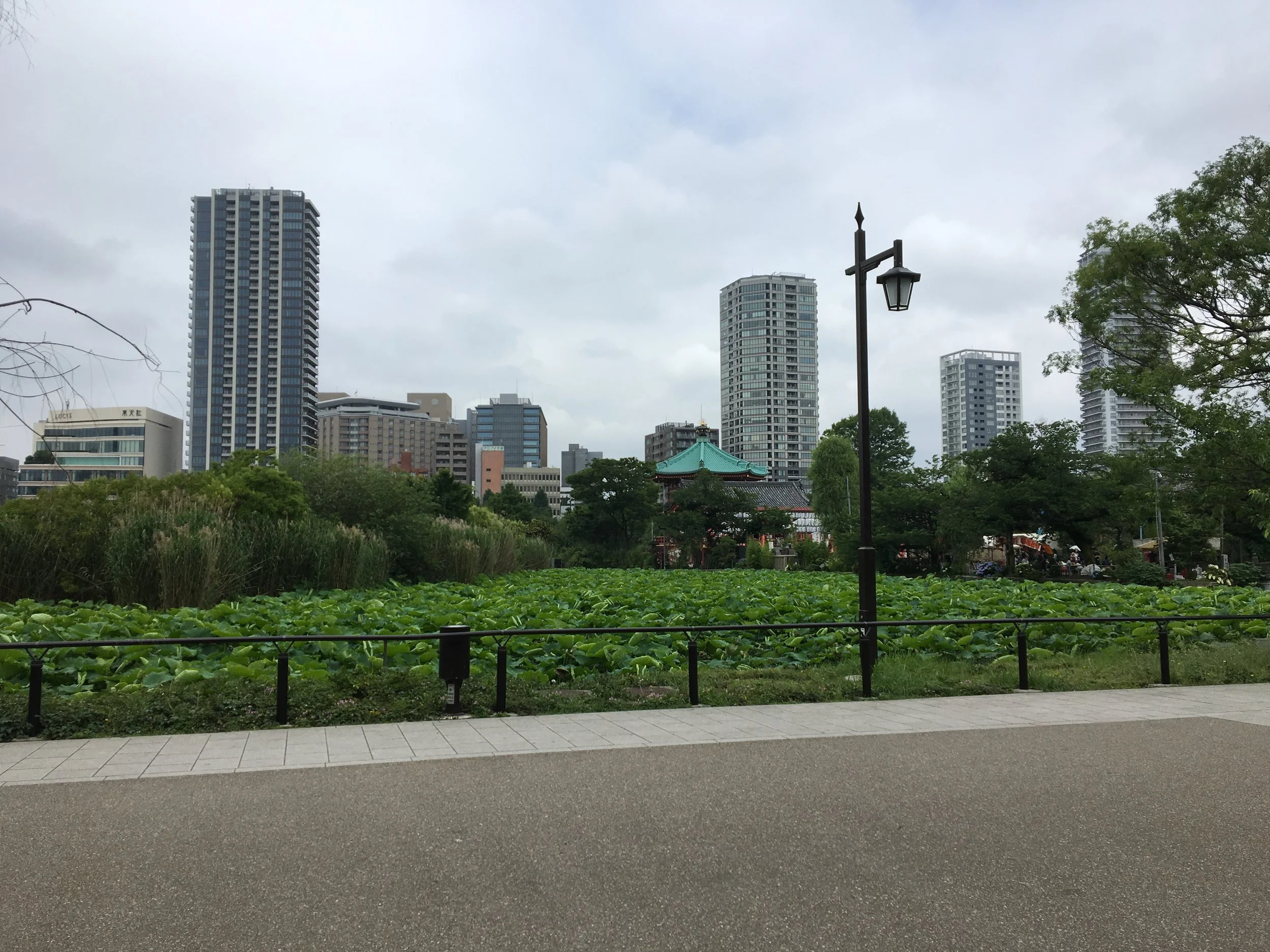 Post 56: Saturday 6/8 - Yanaka and Ueno!
