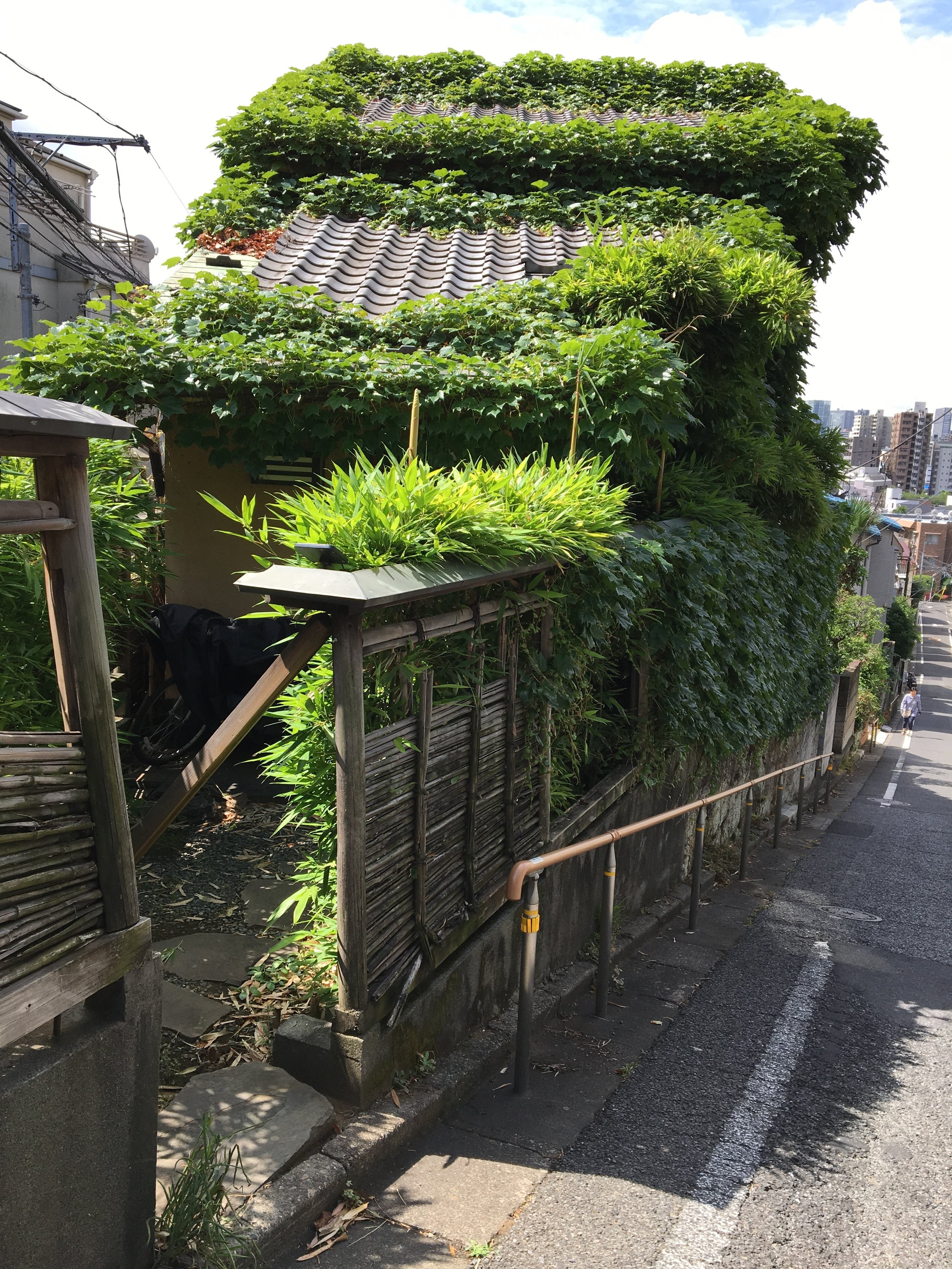 Post 51: Mon. 6/3 - Vet and Kinugawa, Tochigi