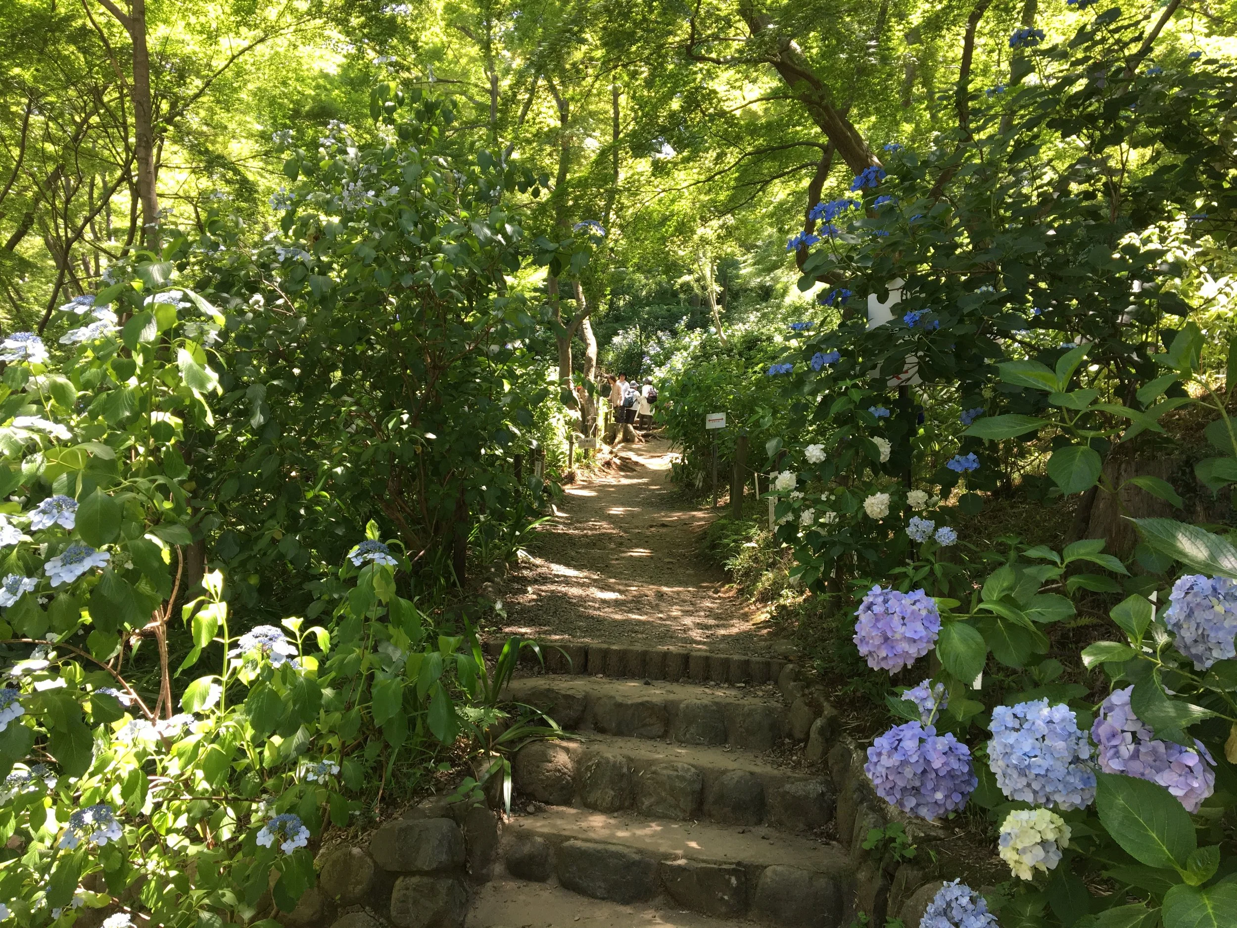 2019-06-17 12.22.06.jpg