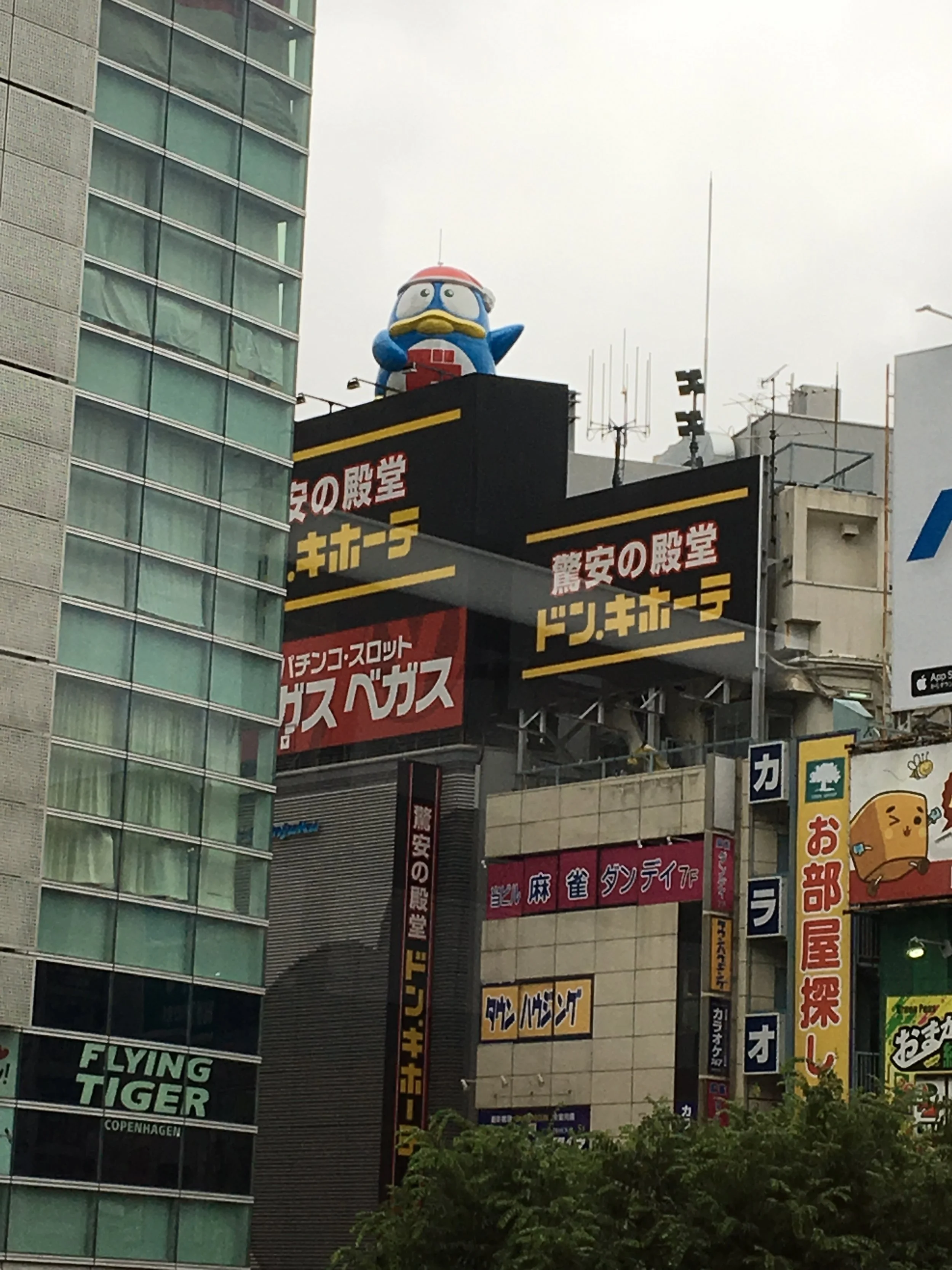 2019-06-24 12.56.53.jpg