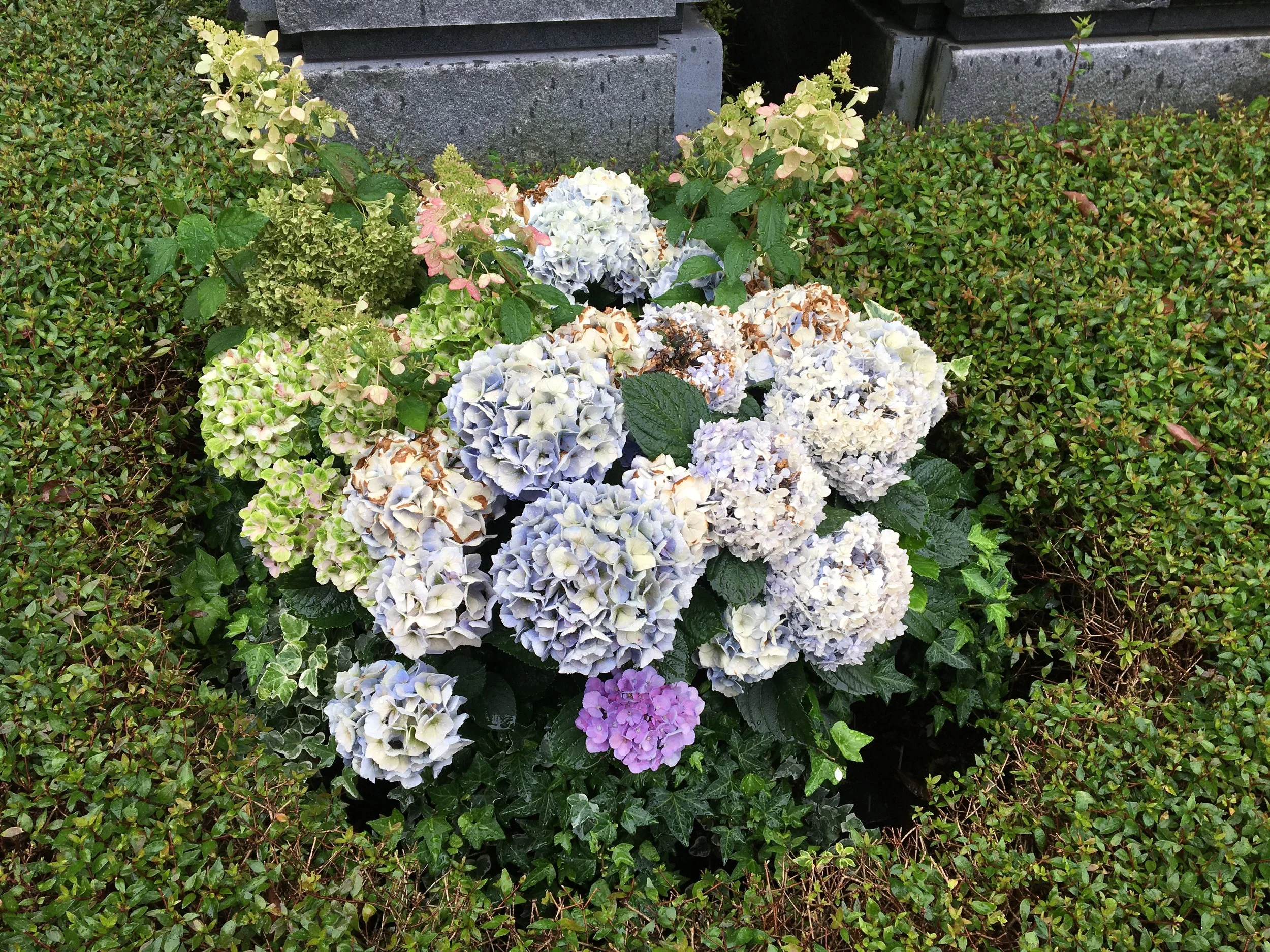 2019-06-24 13.43.17.jpg