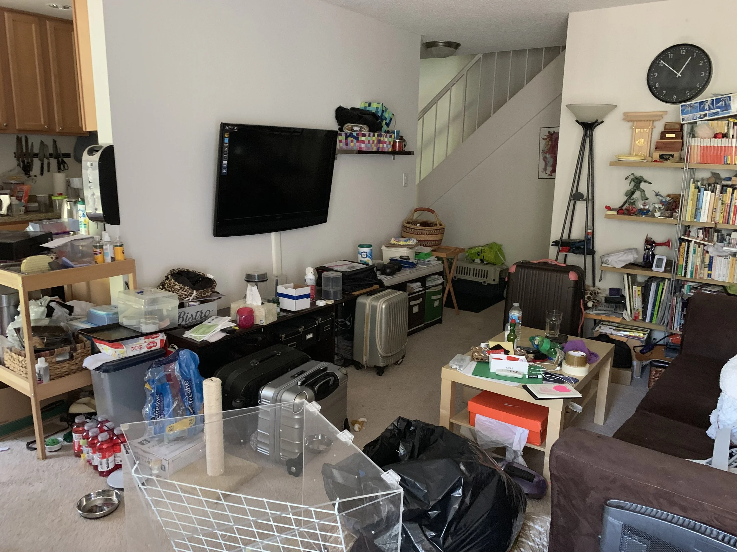 2019-07-03 12.49.03.jpg