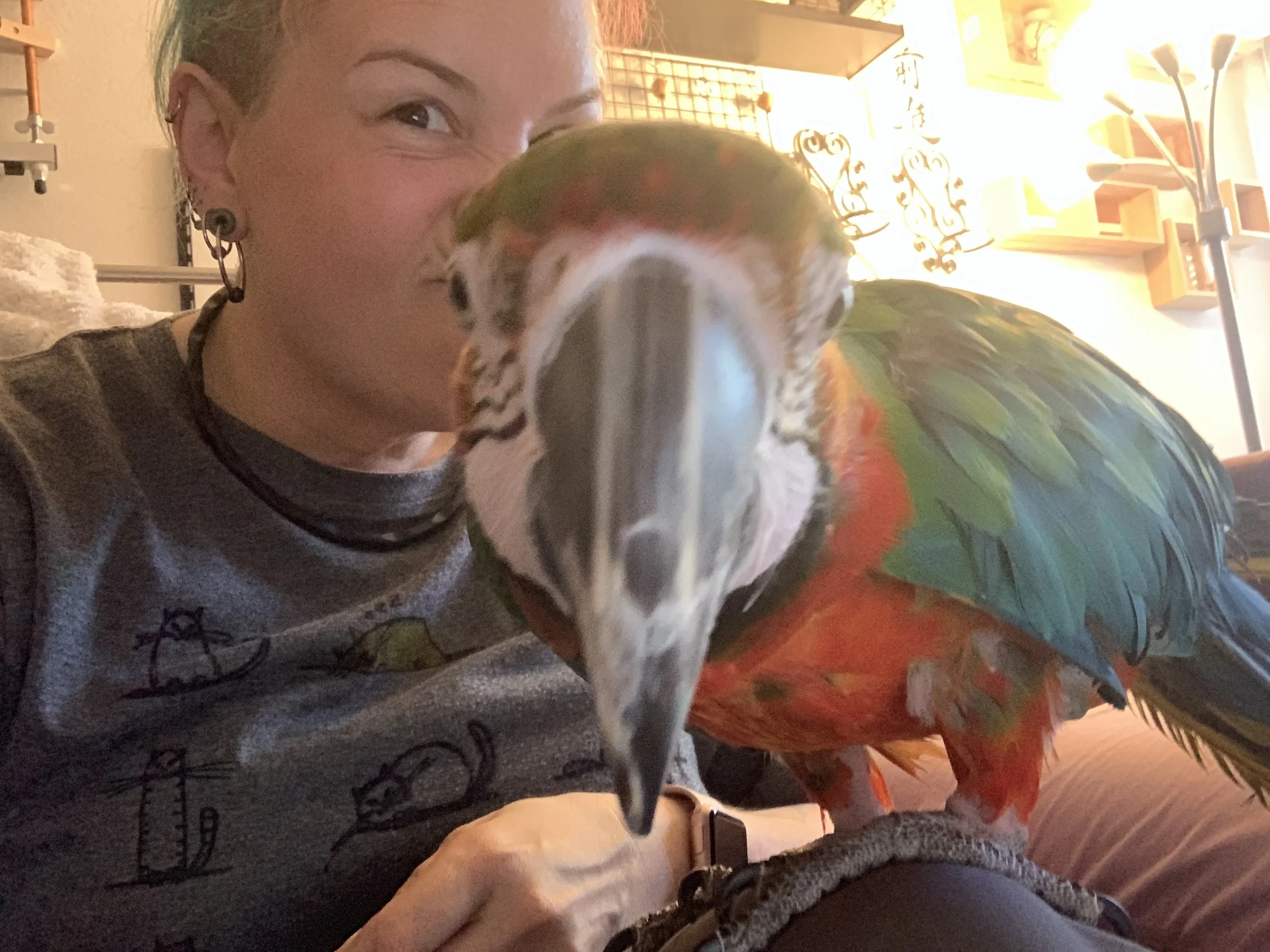 2019-07-11 17.52.46.jpg