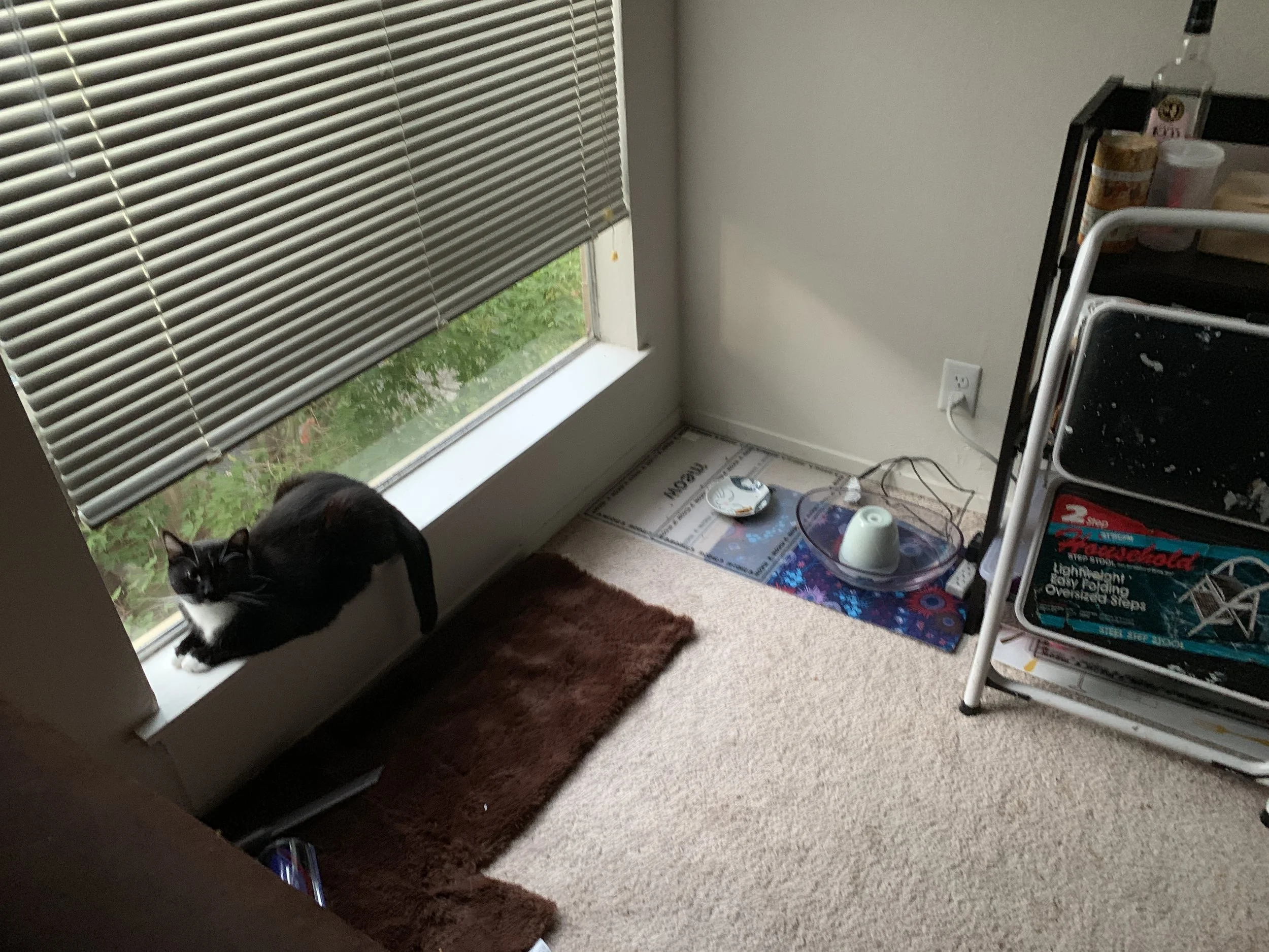 83: Exhausted, but decently chill