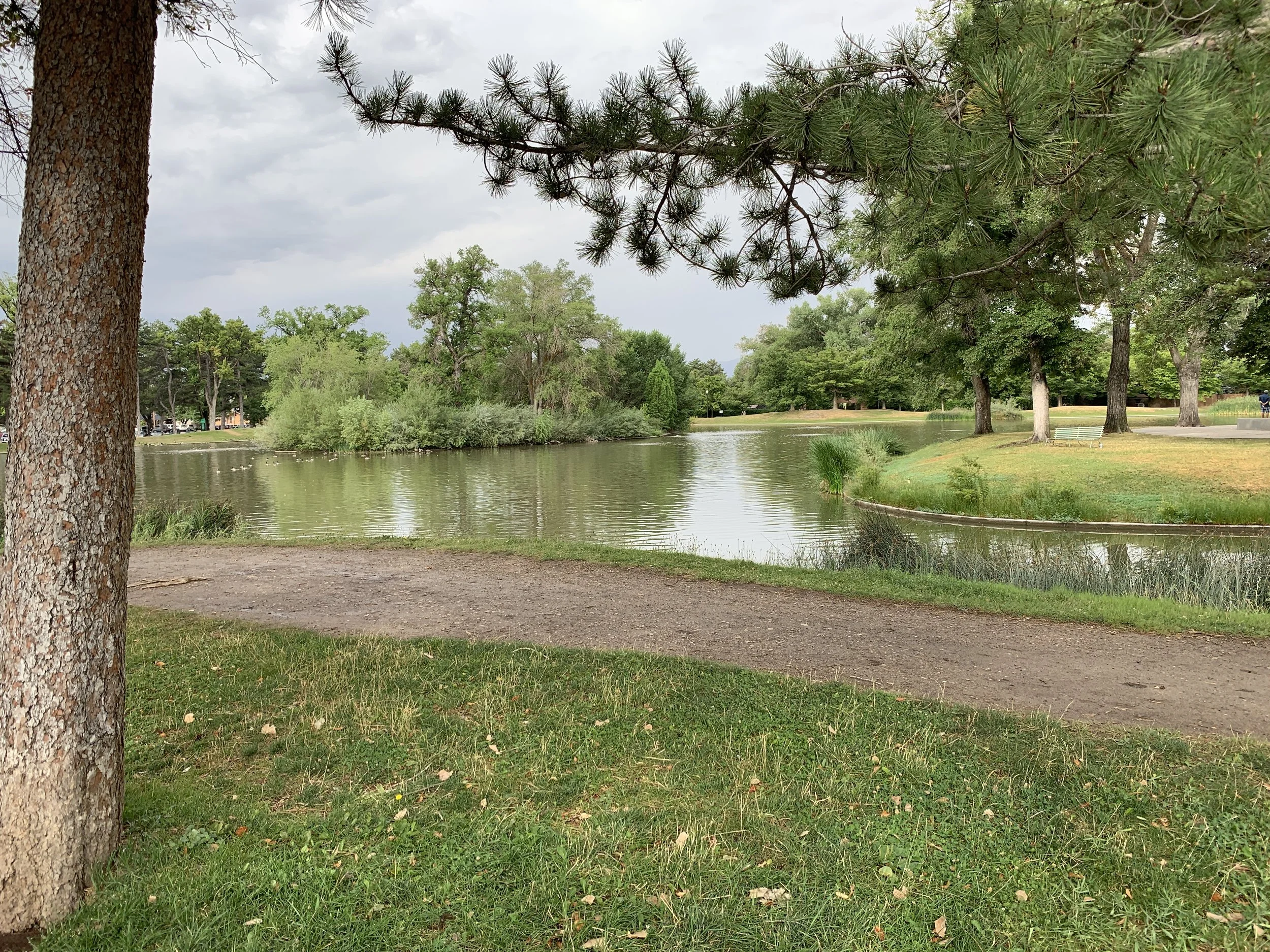2019-08-08 09.37.21.jpg