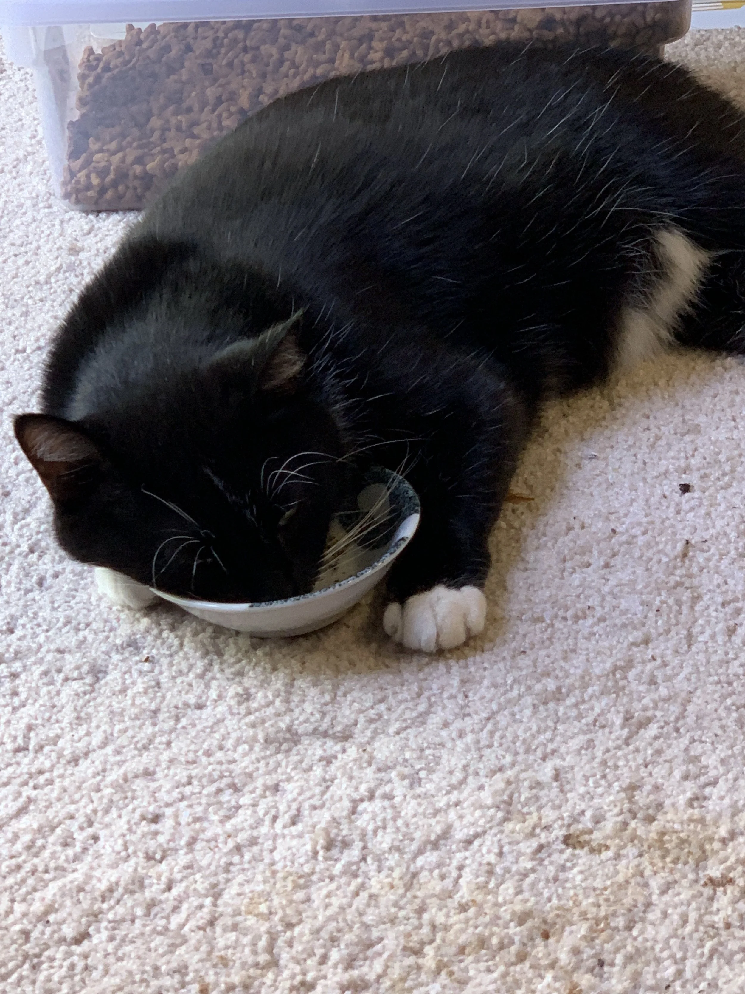 2019-08-10 12.53.24.jpg
