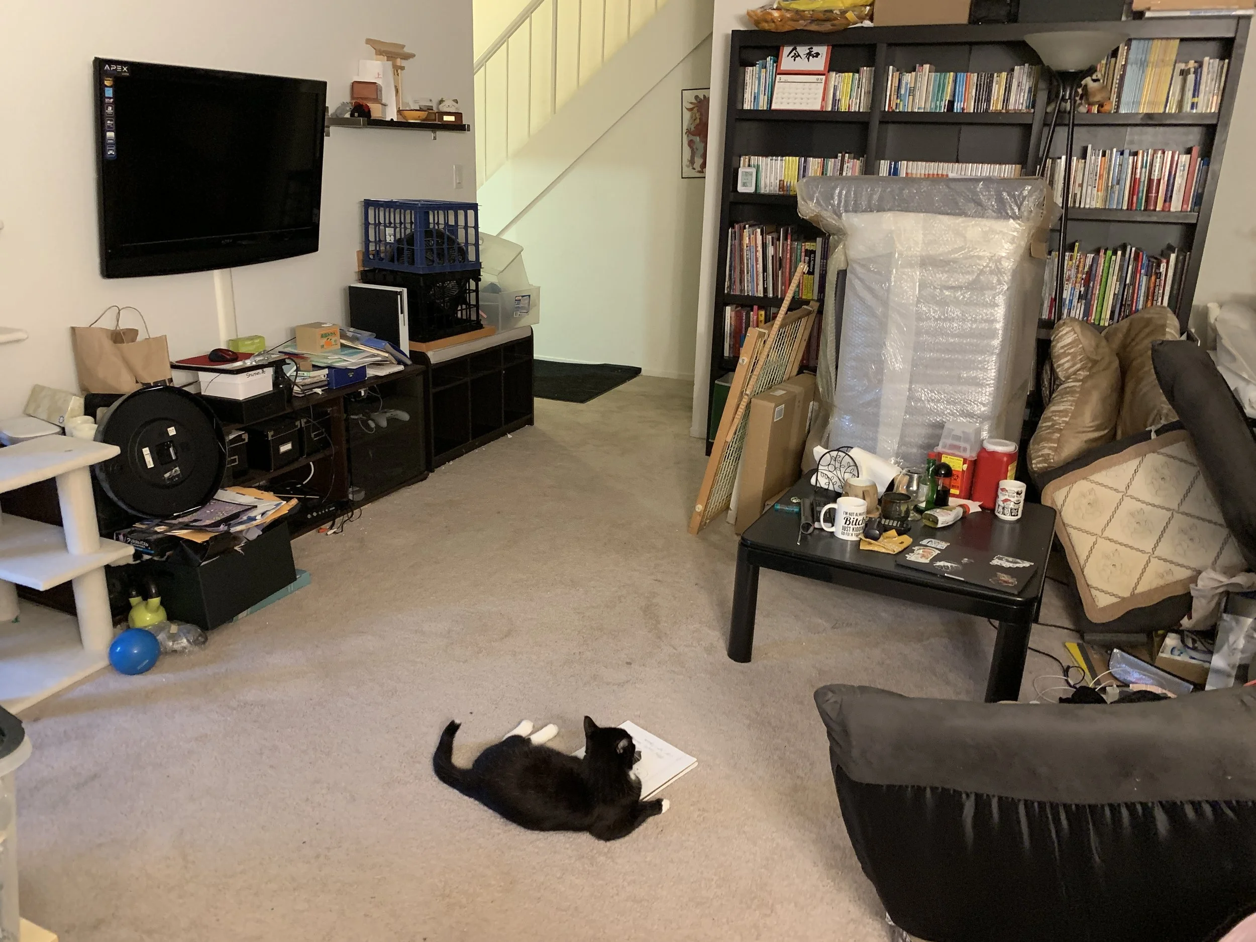 2019-08-26 07.01.30.jpg