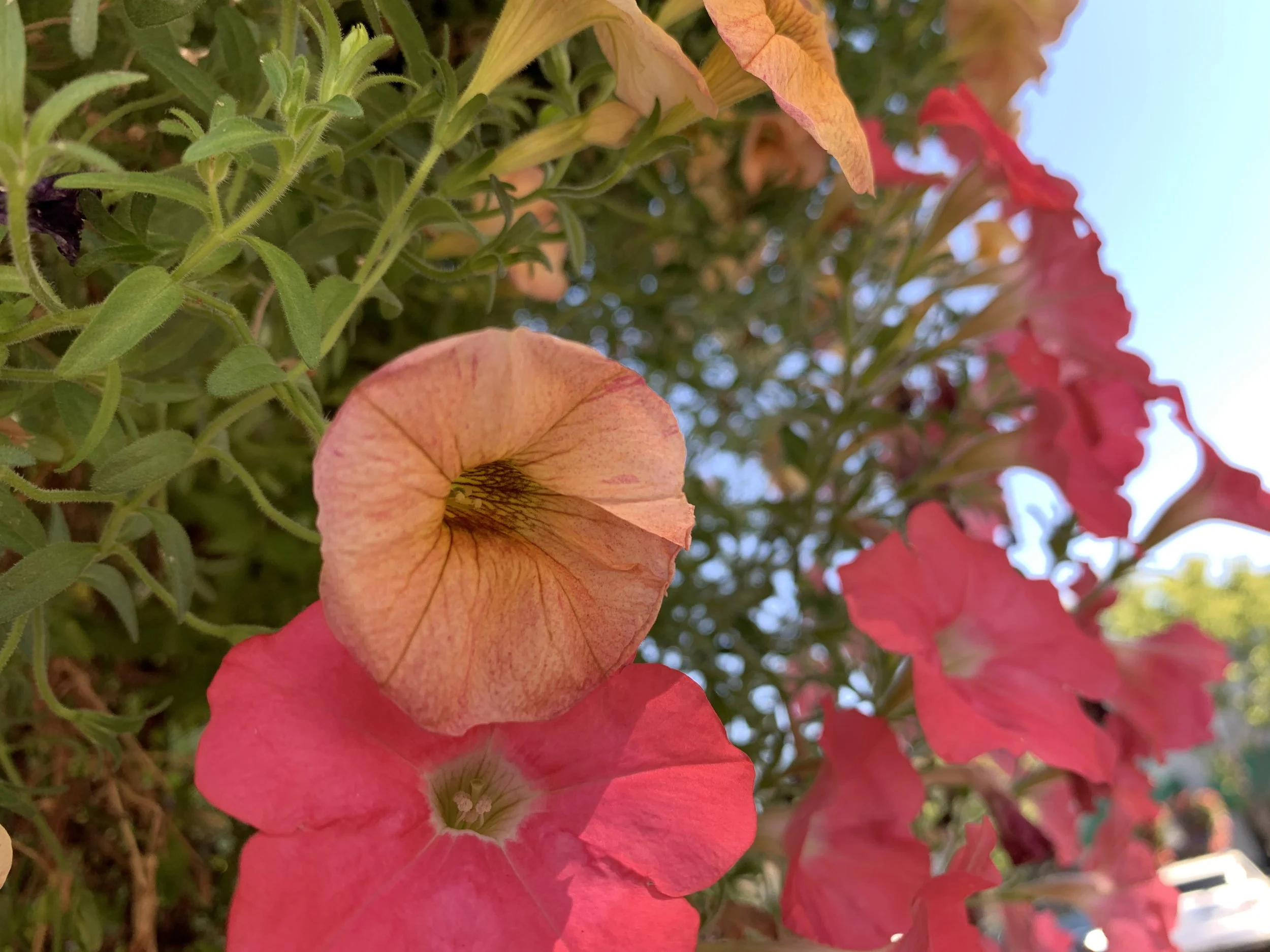 2019-08-26 11.43.05.jpg