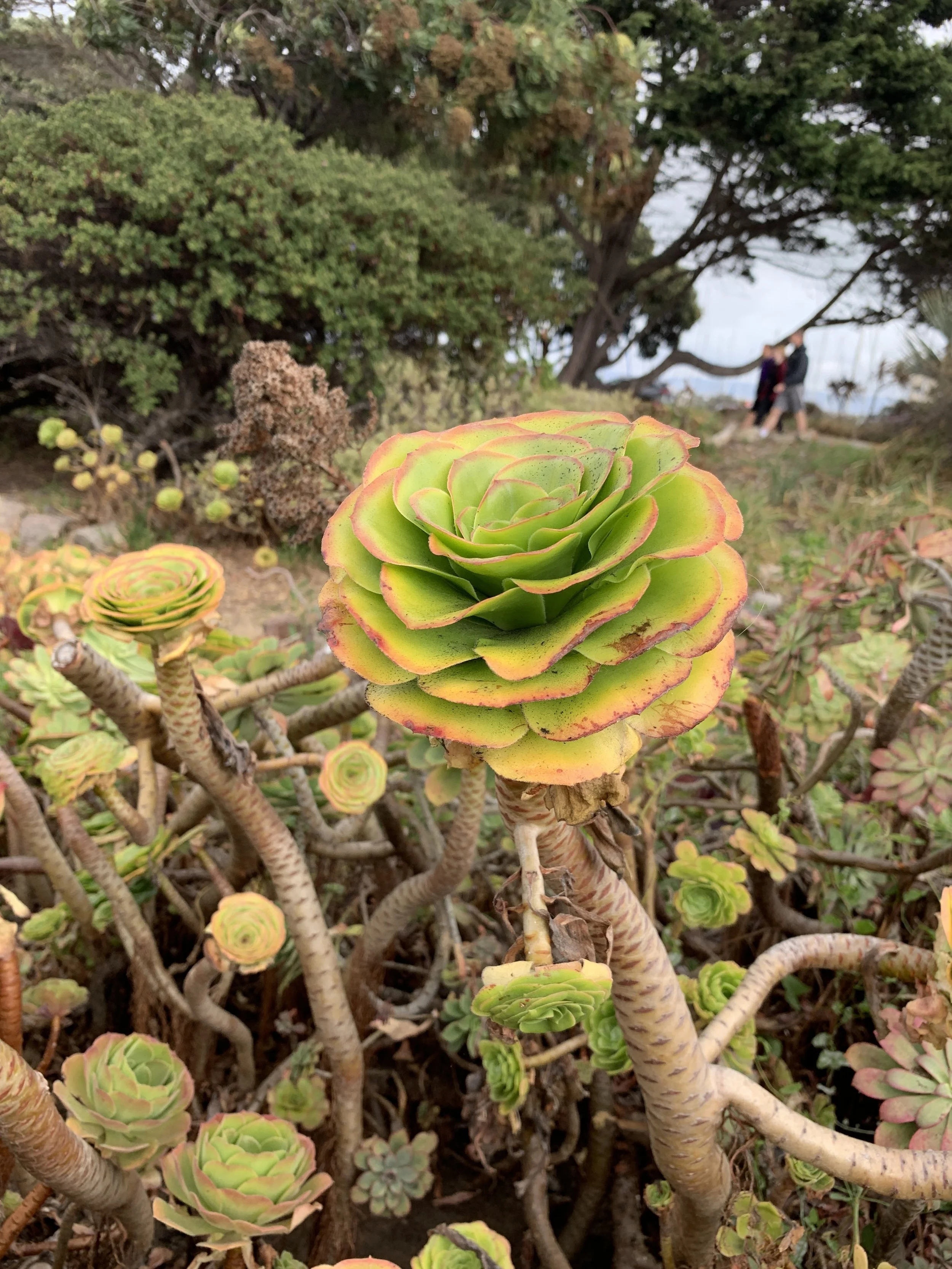 2019-09-07 12.26.13.jpg