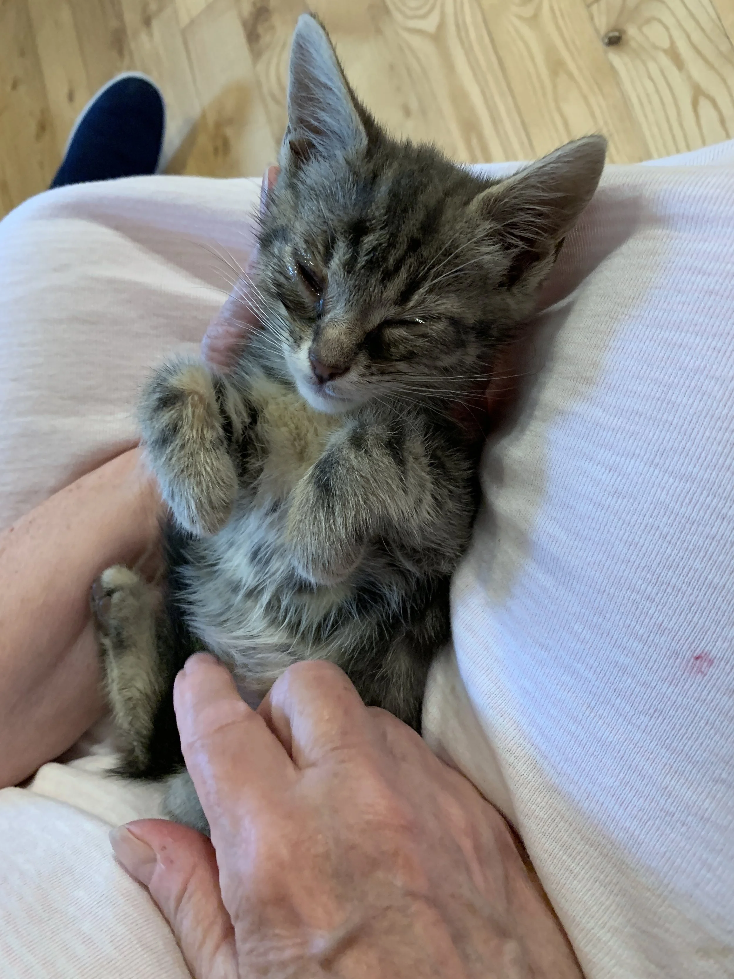 2019-09-22 10.40.29.jpg