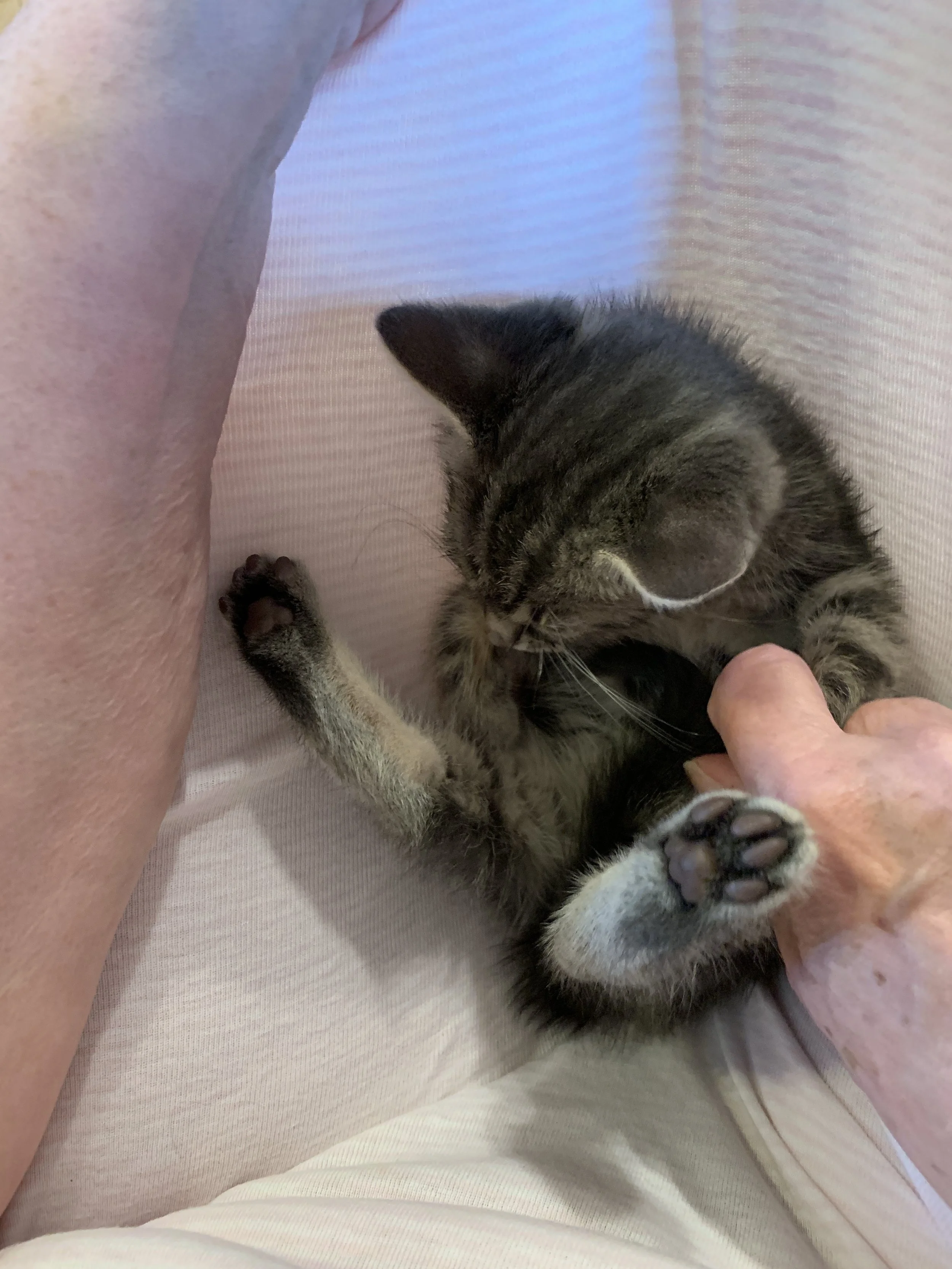 2019-09-22 10.40.50.jpg
