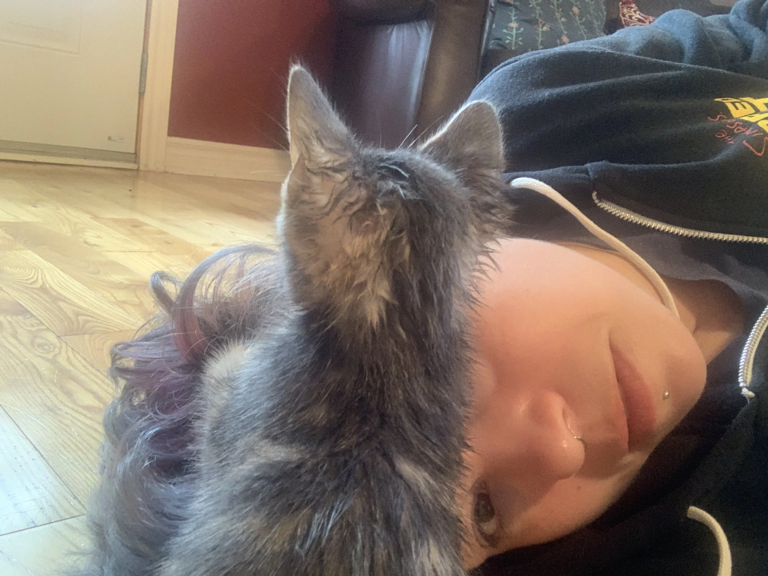 2019-09-22 12.09.19.jpg