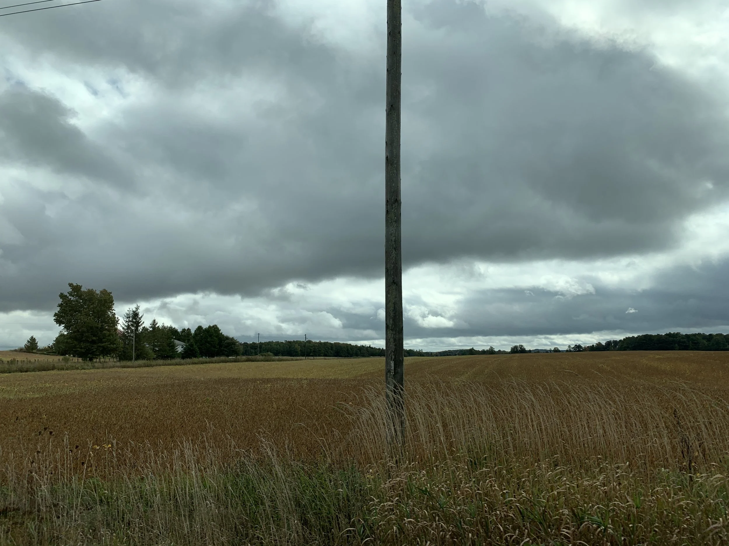 2019-09-23 12.52.41.jpg