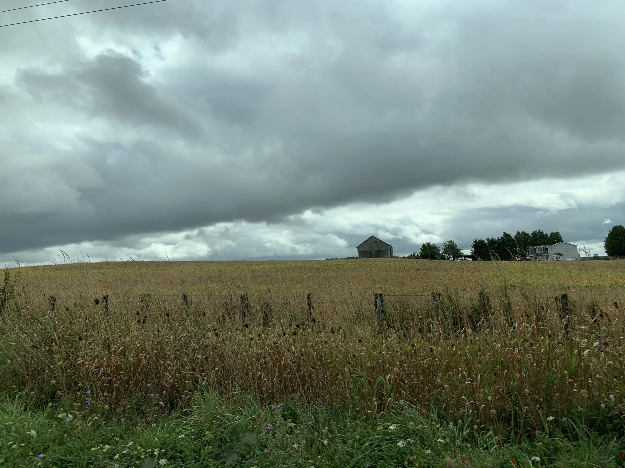 2019-09-23 12.52.48.jpg