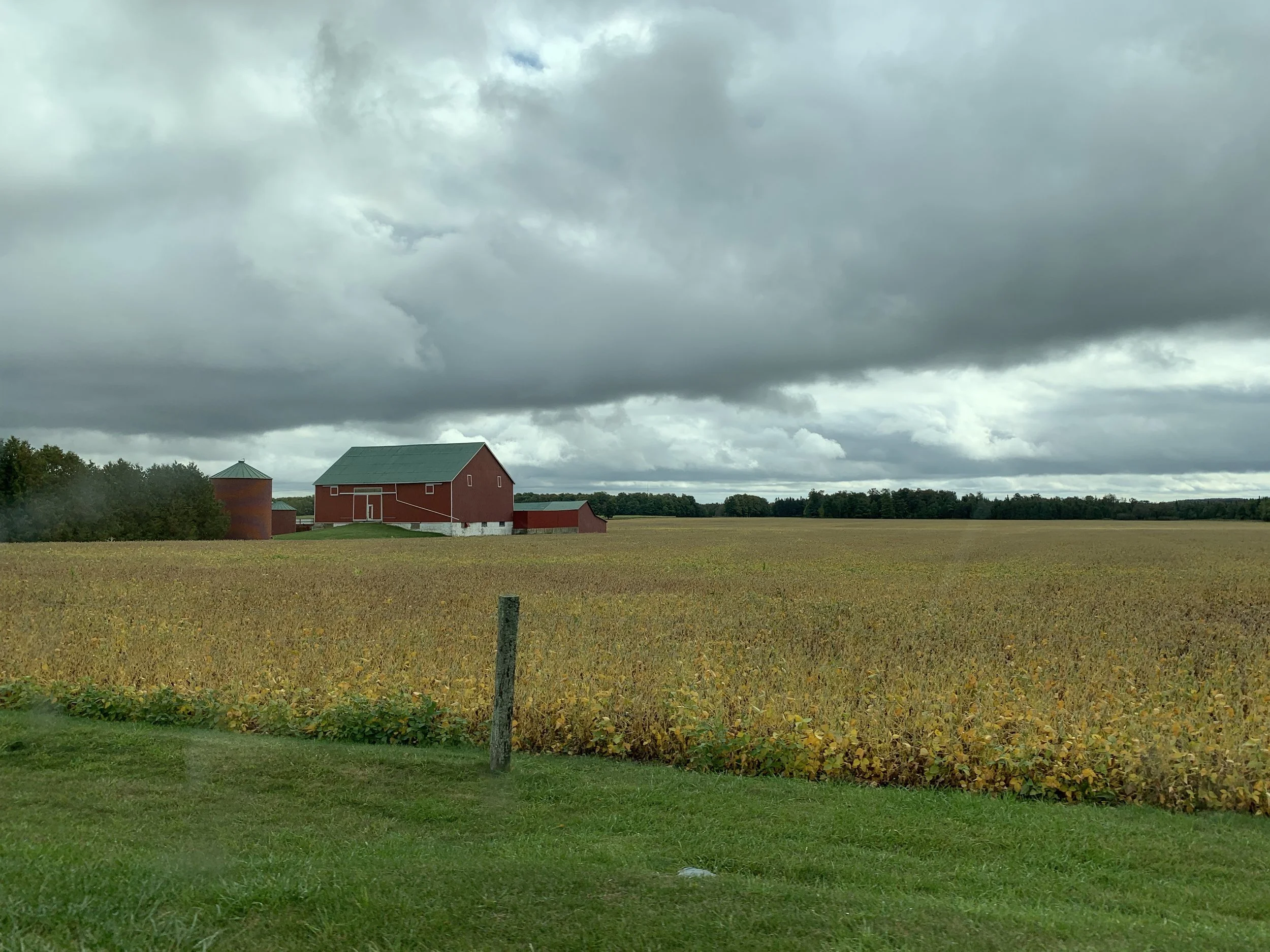 2019-09-23 12.53.14.jpg