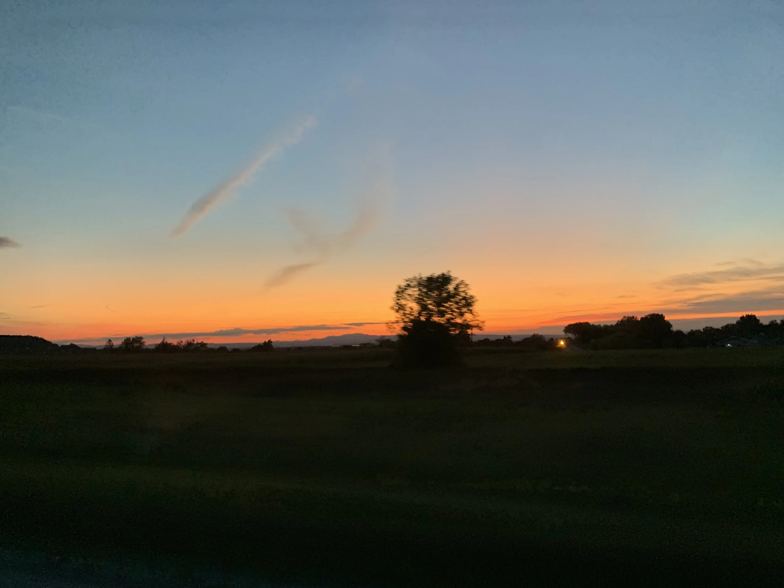 2019-09-25 19.07.18.jpg