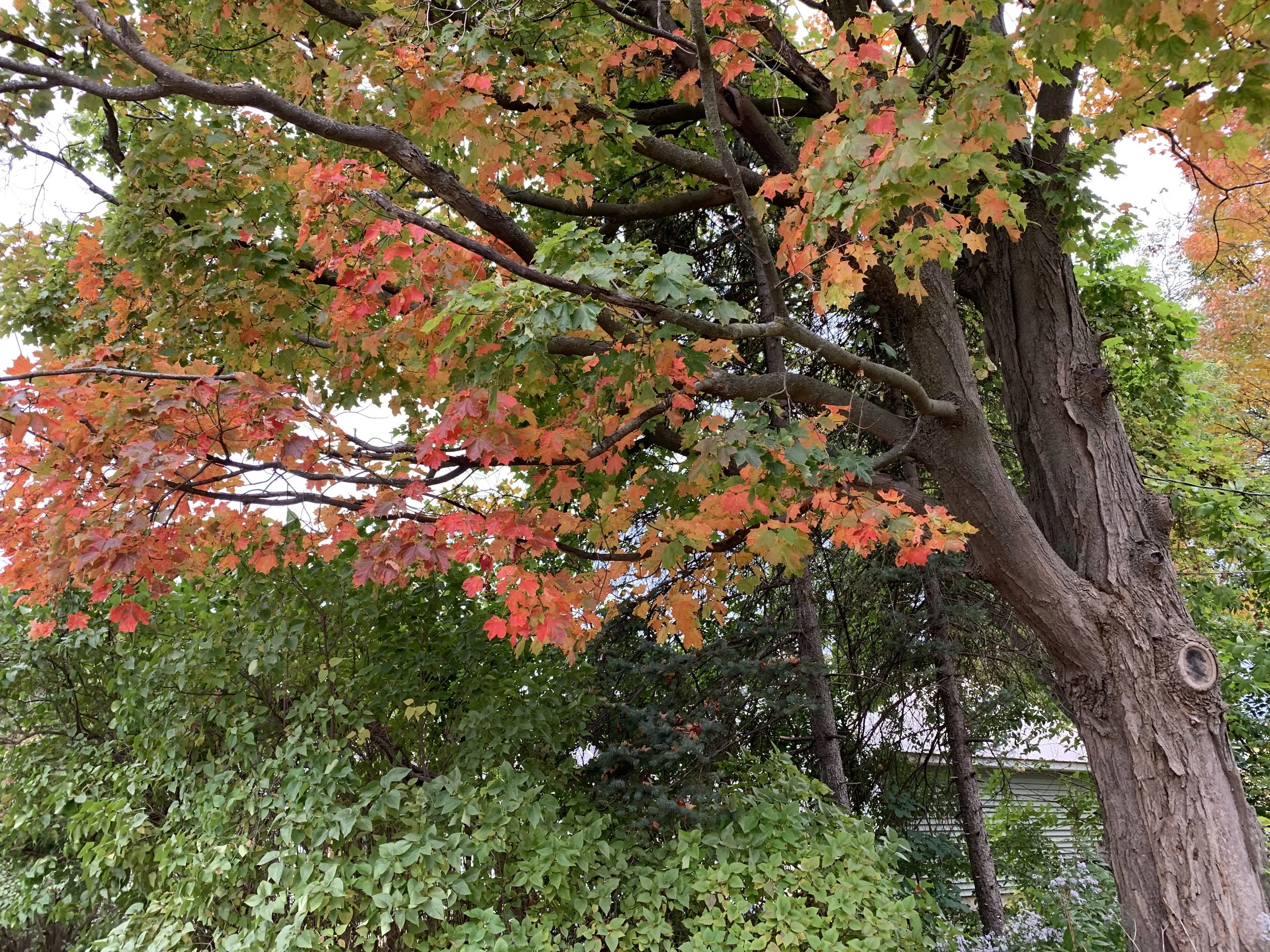 2019-09-26 11.02.28.jpg