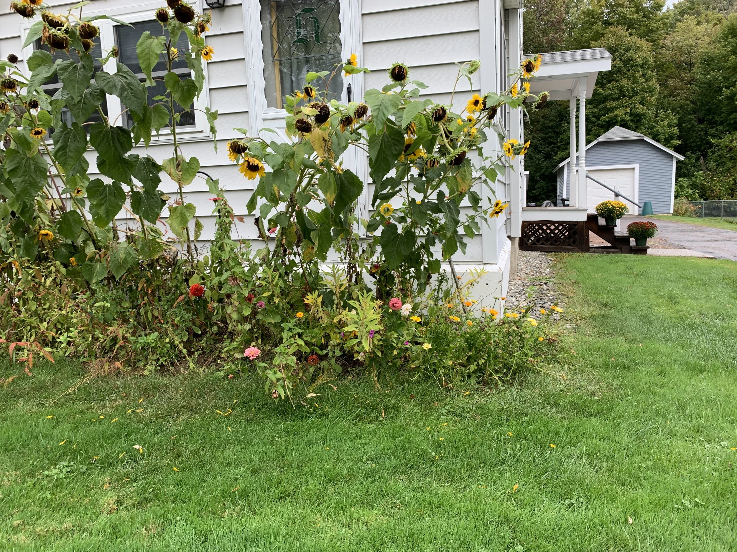 2019-09-26 11.03.31.jpg